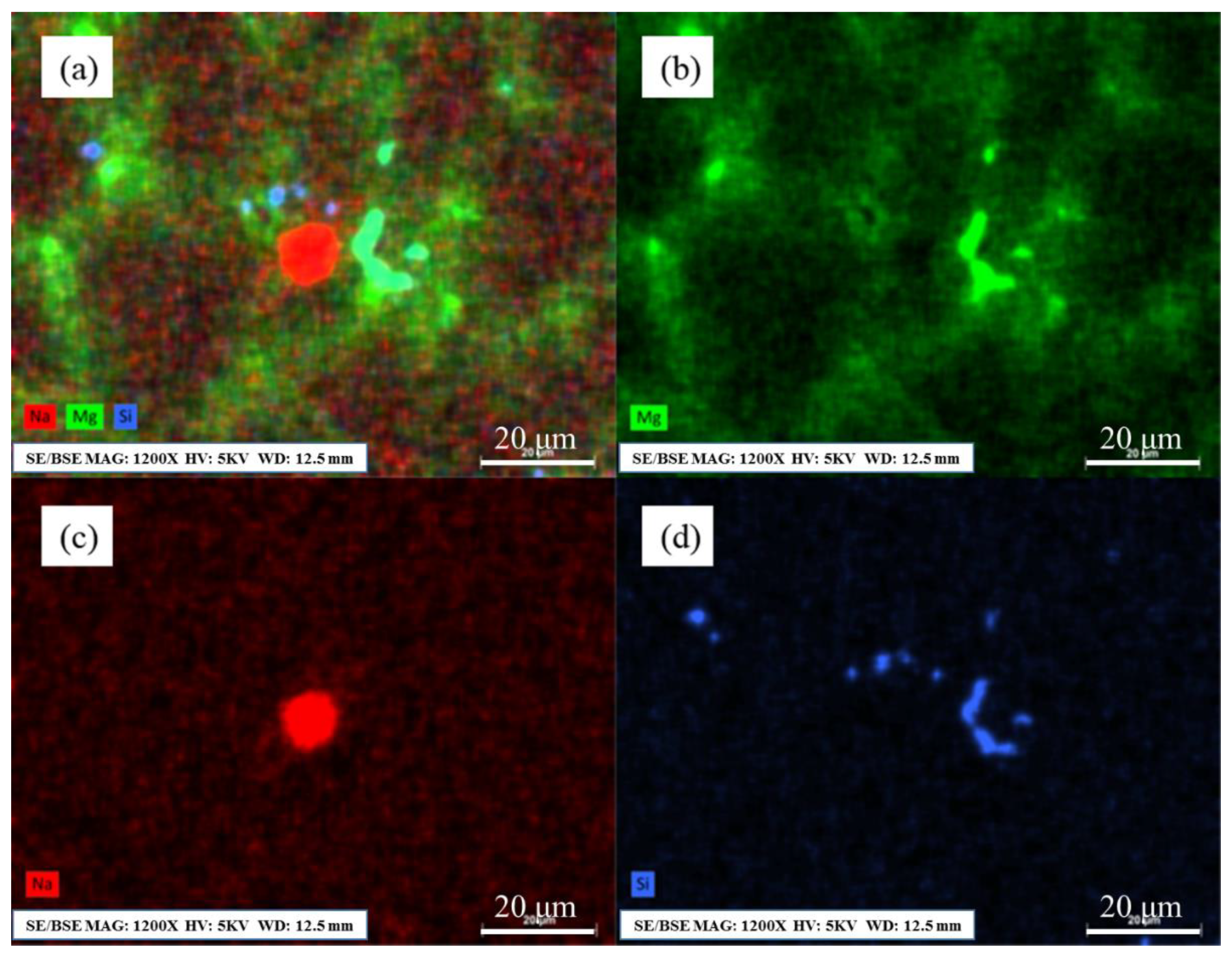 Metals 11 01591 g005