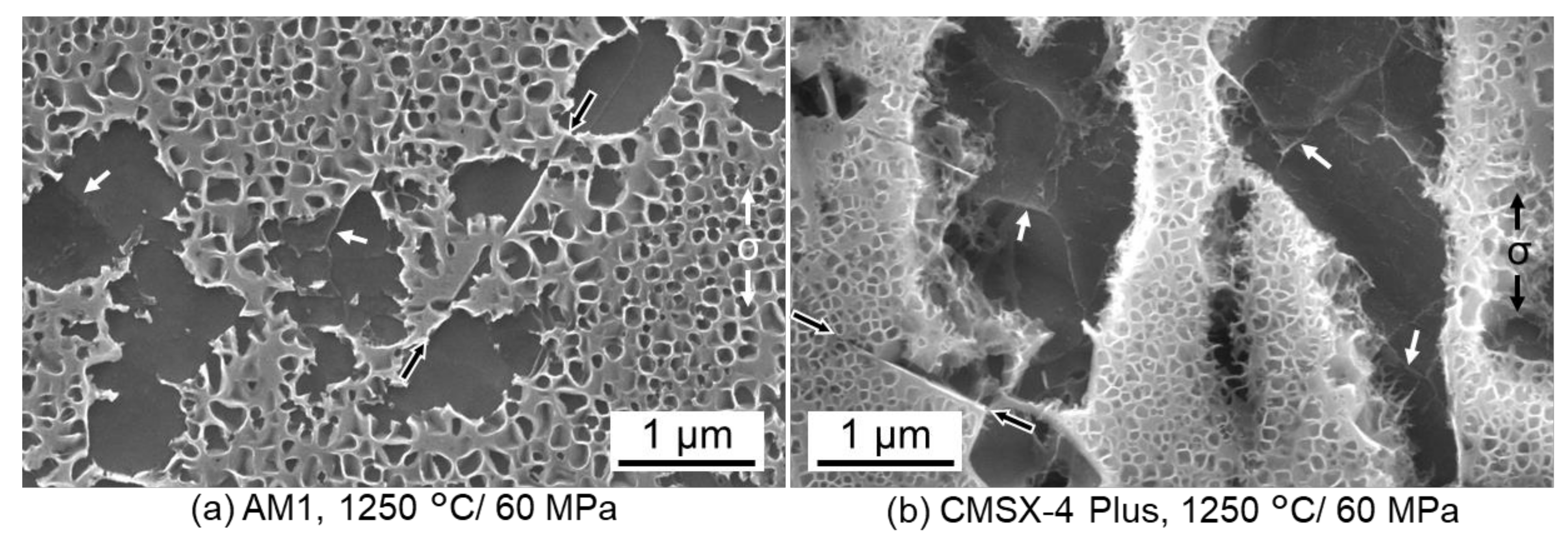 Metals 11 01610 g009