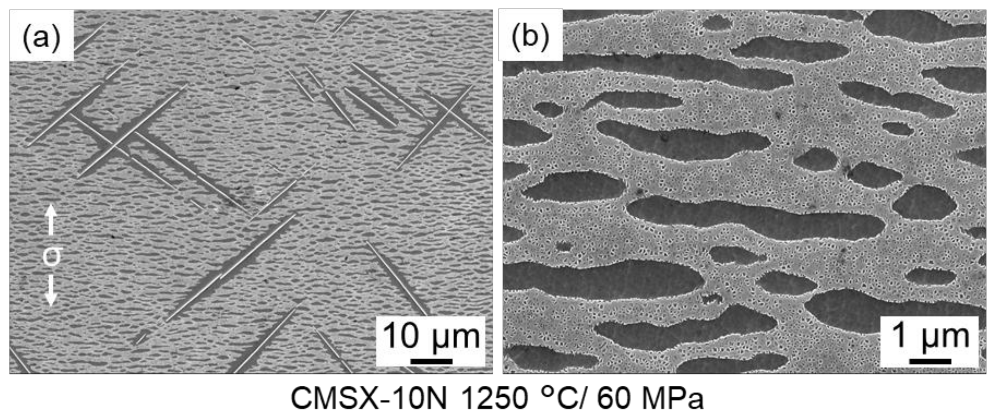 Metals 11 01610 g010