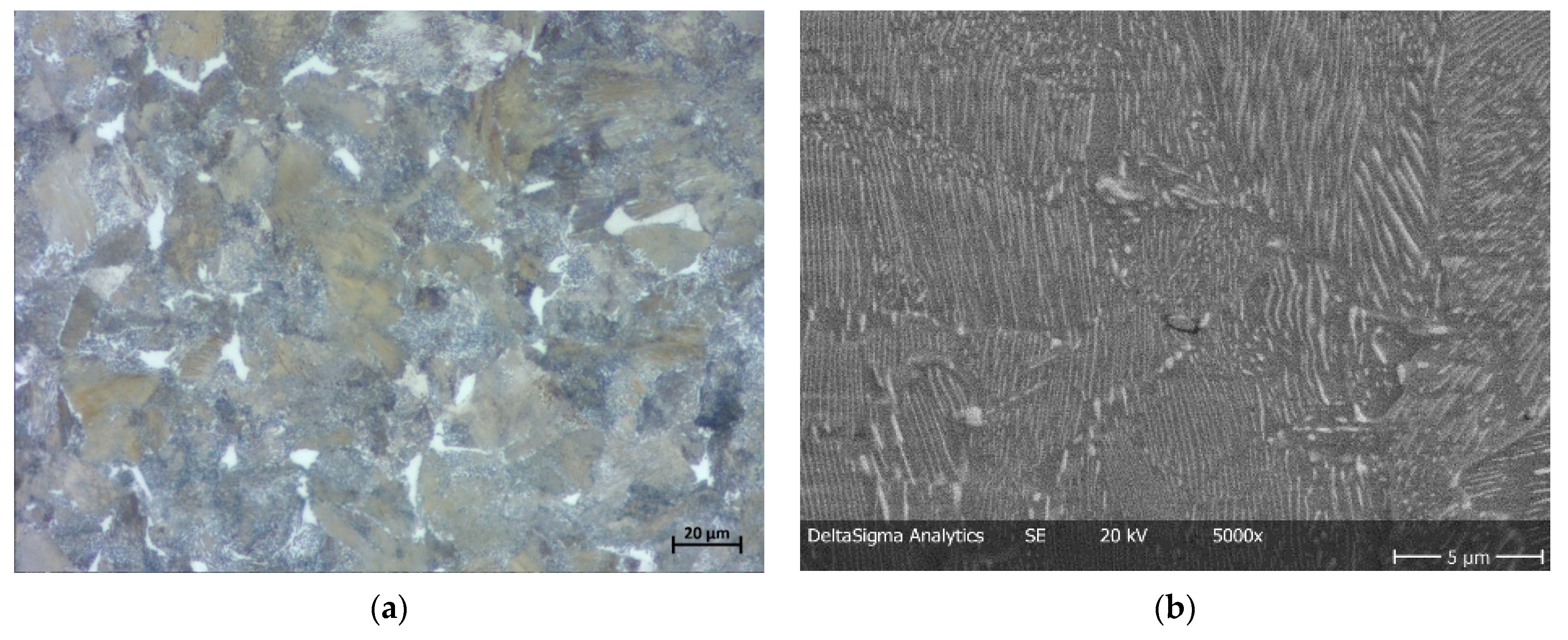 Metals 11 01612 g001