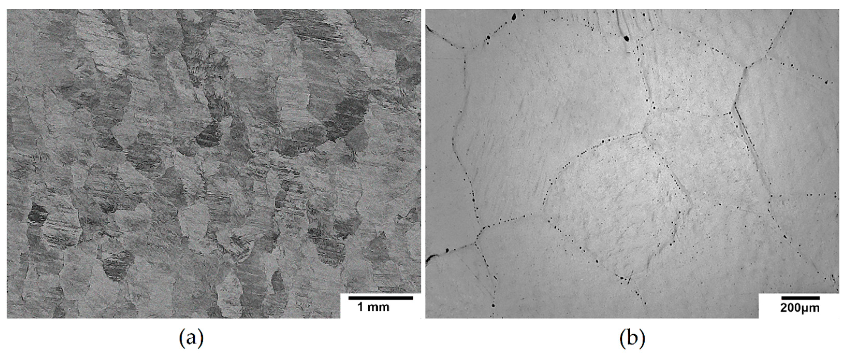 Metals 11 01647 g001