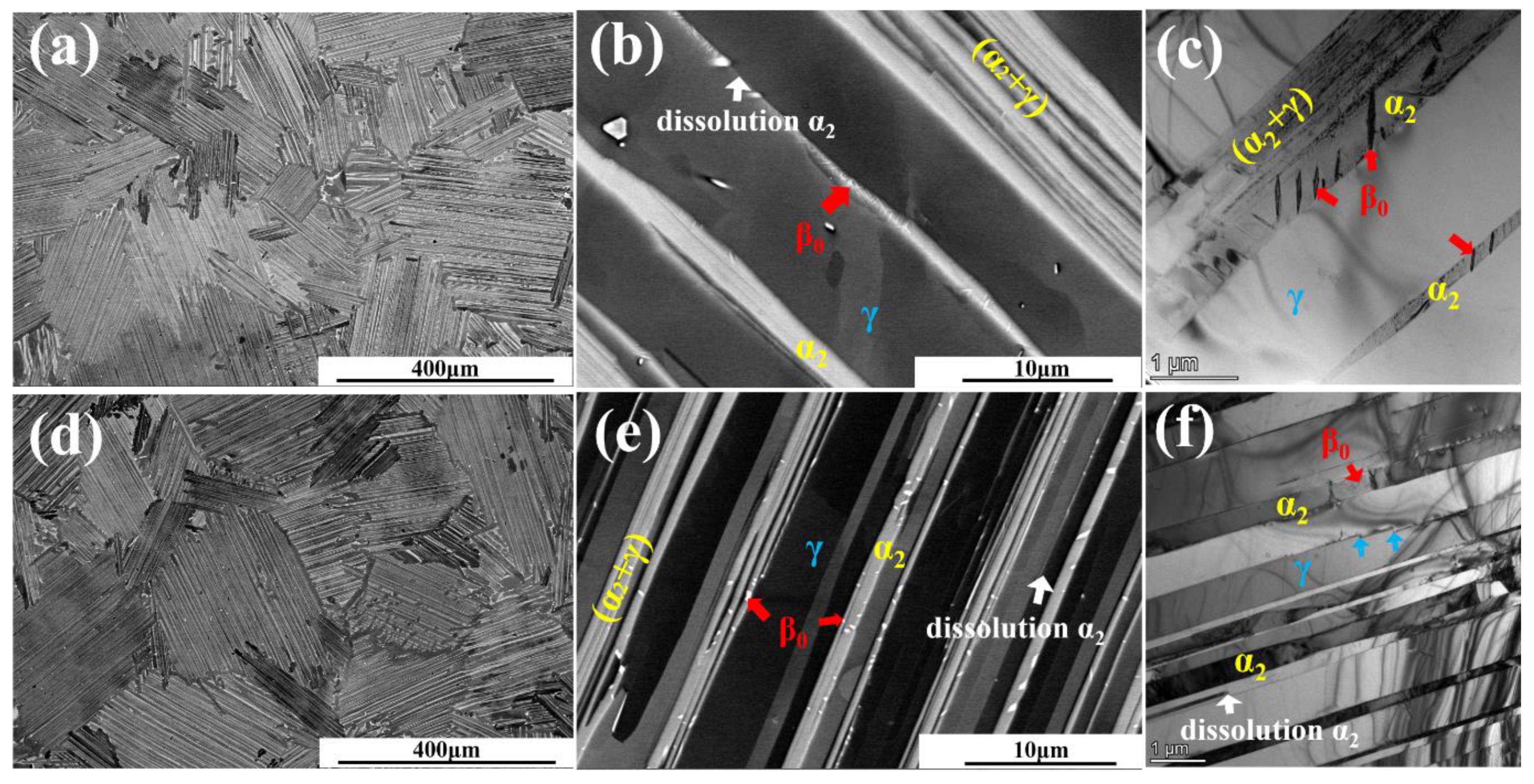 Metals 11 01720 g003