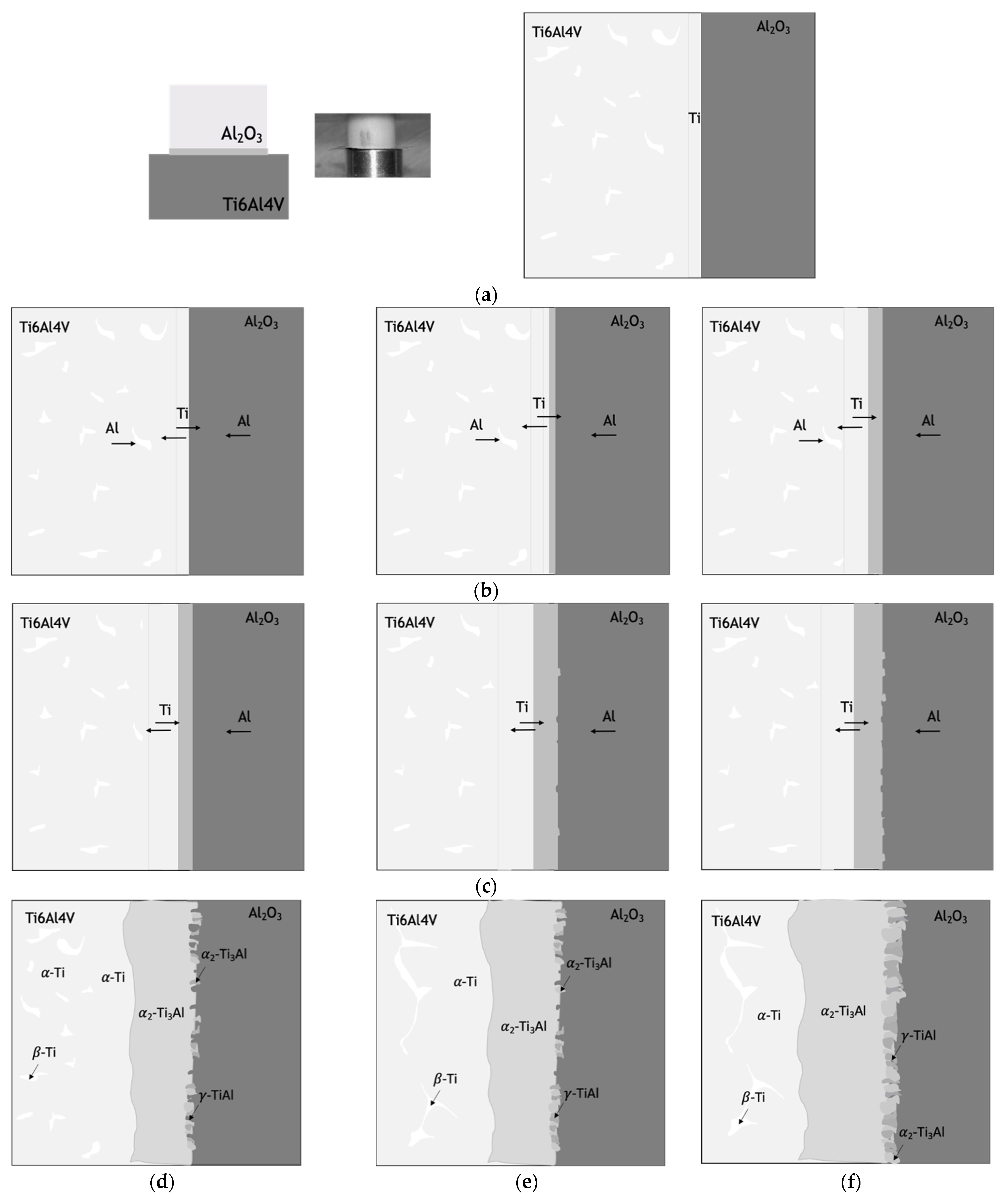 Metals 11 01728 g010