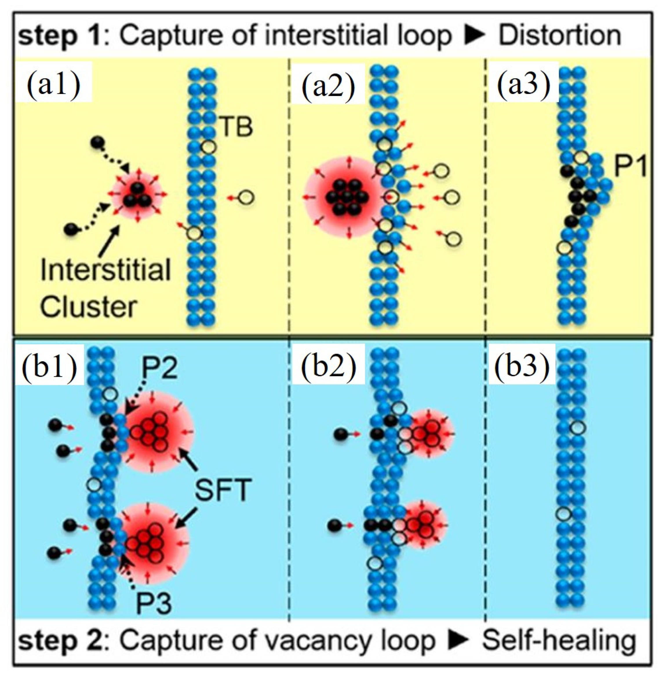 Metals 11 01875 g008
