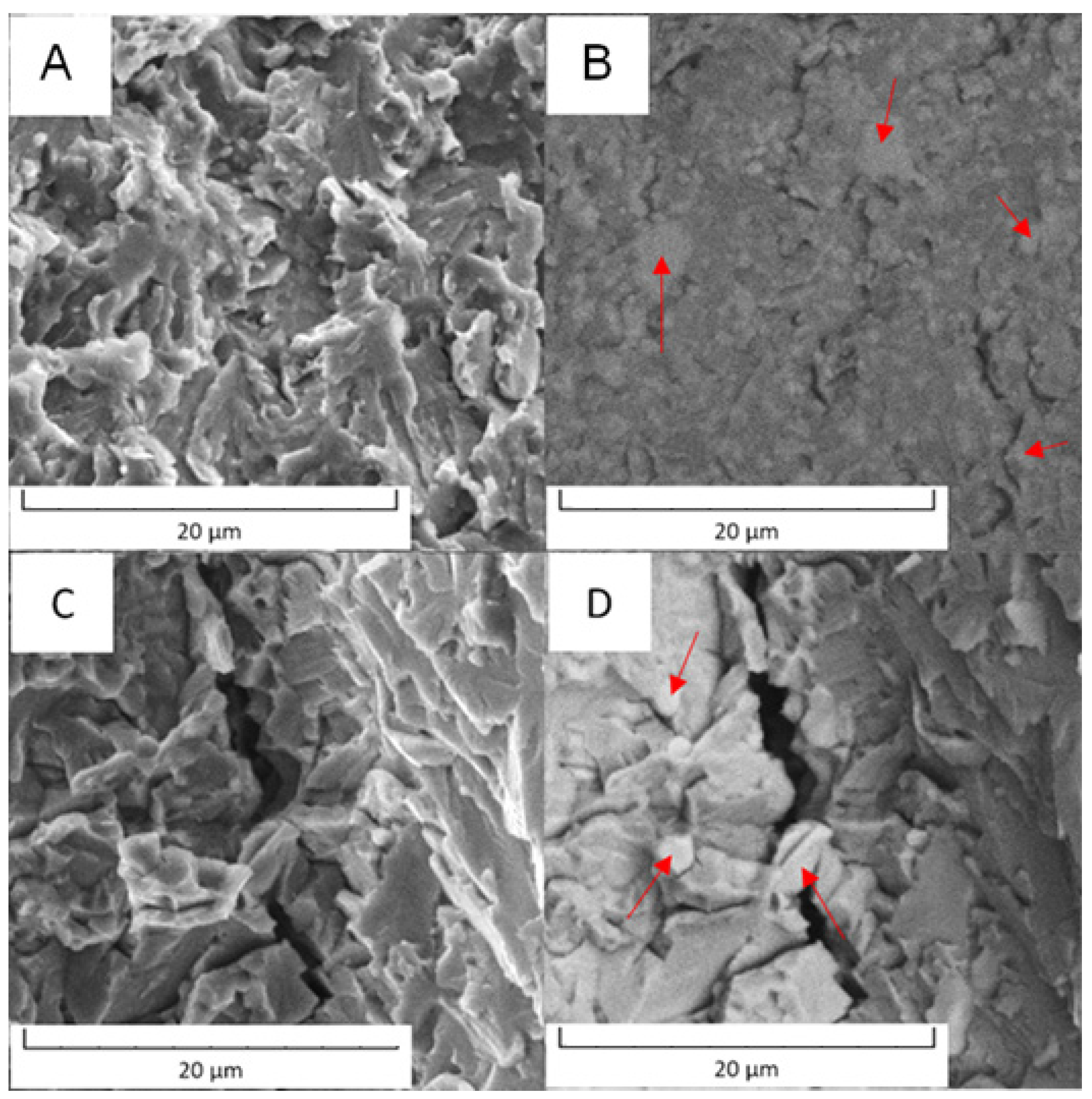 Metals 11 01901 g019