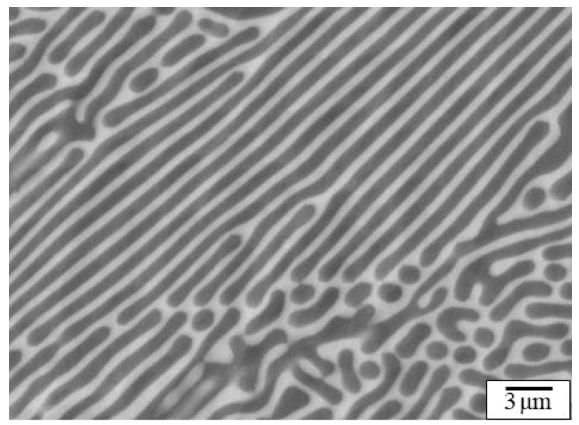 Metals 11 01913 g008