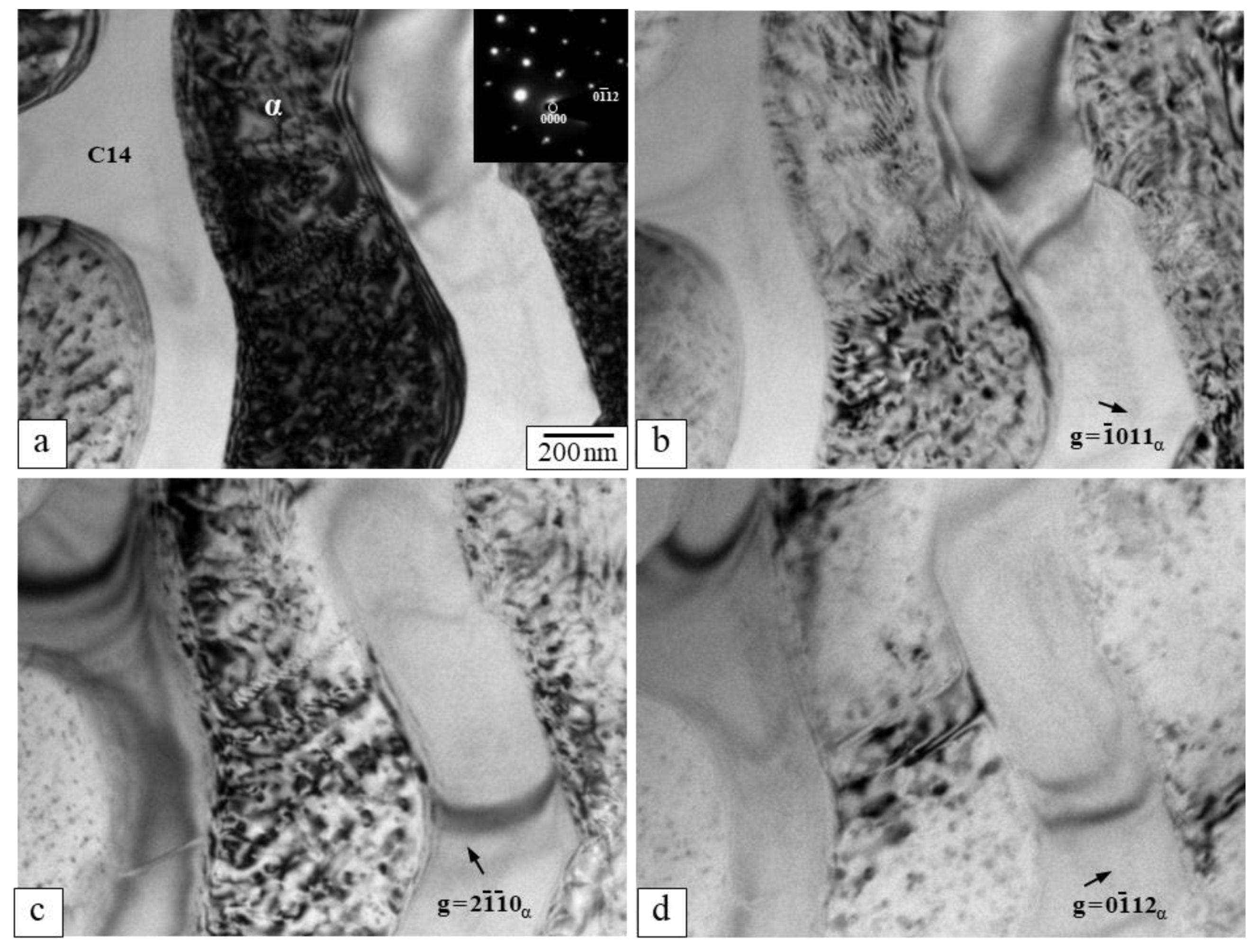 Metals 11 01913 g009