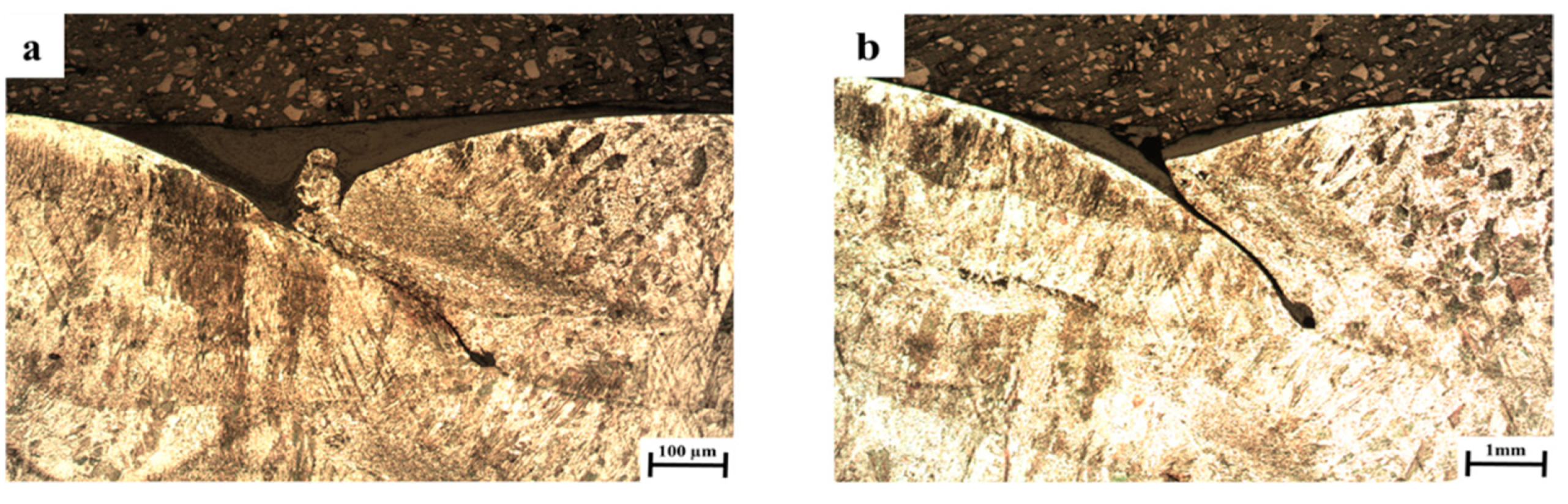 Metals 11 01930 g001