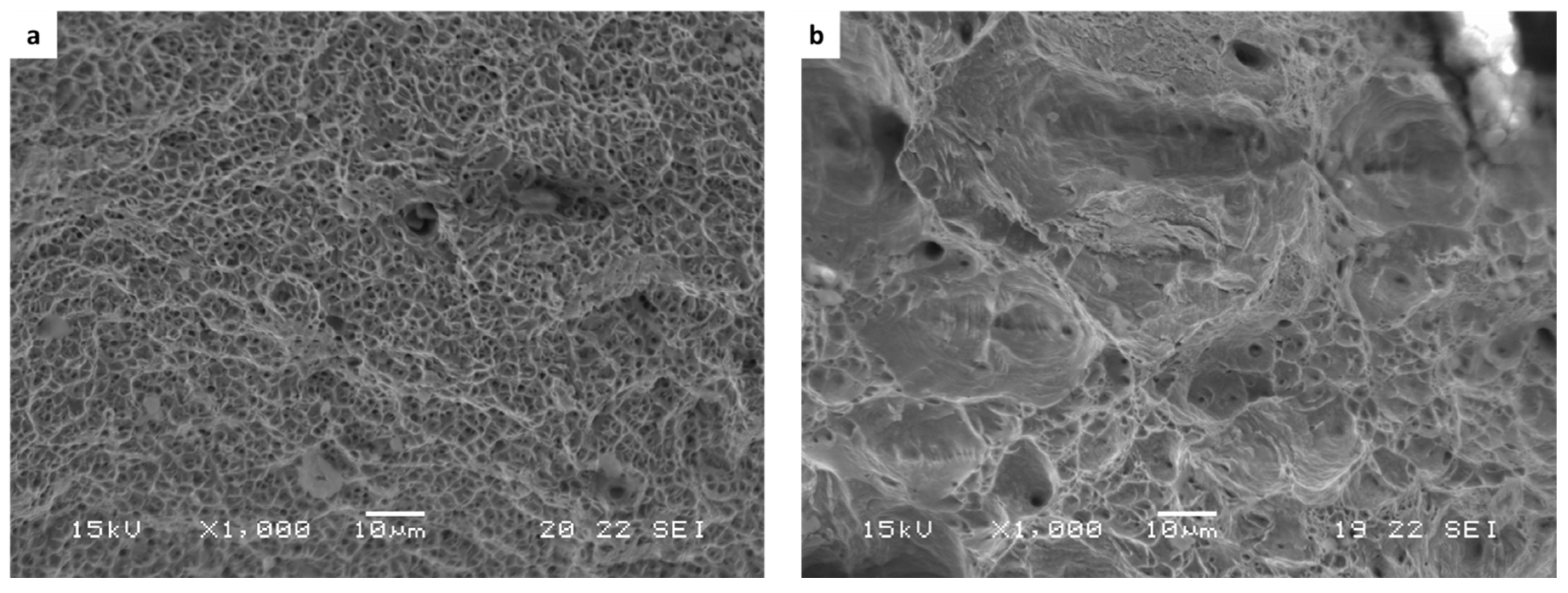 Metals 11 01930 g012