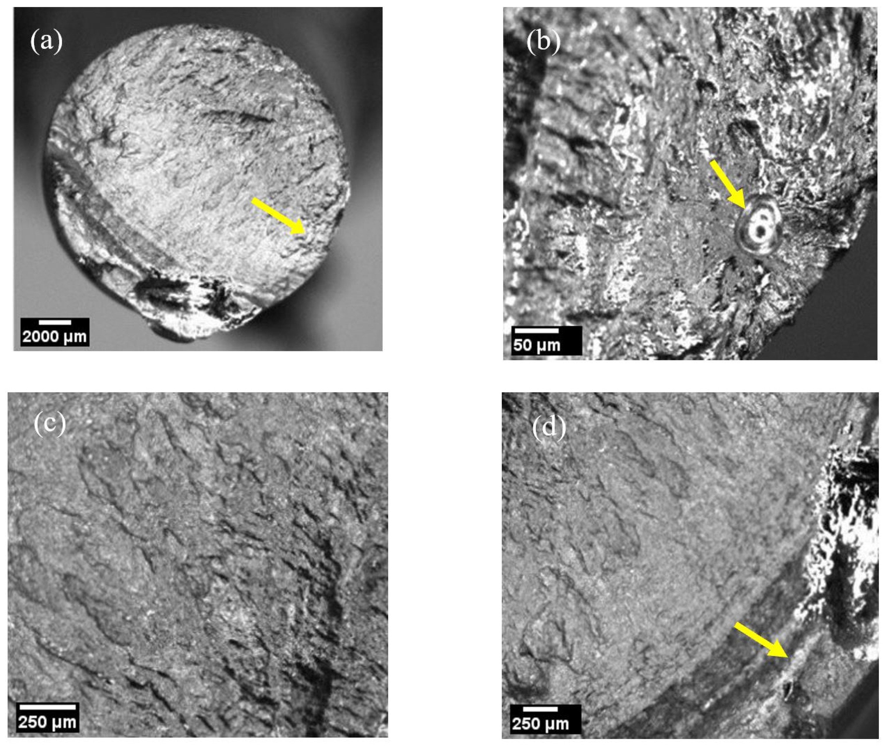 Metals 11 01965 g005