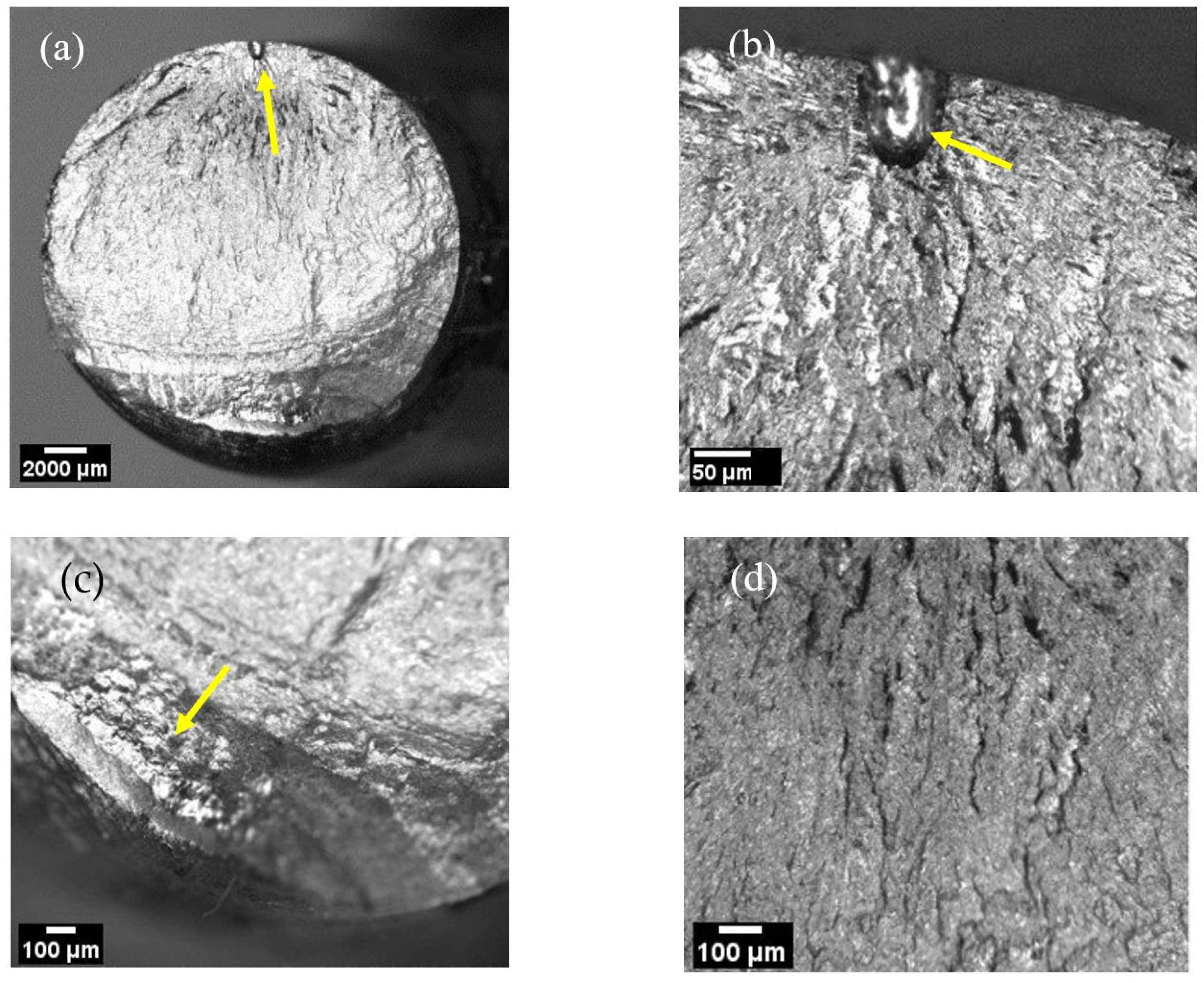 Metals 11 01965 g006