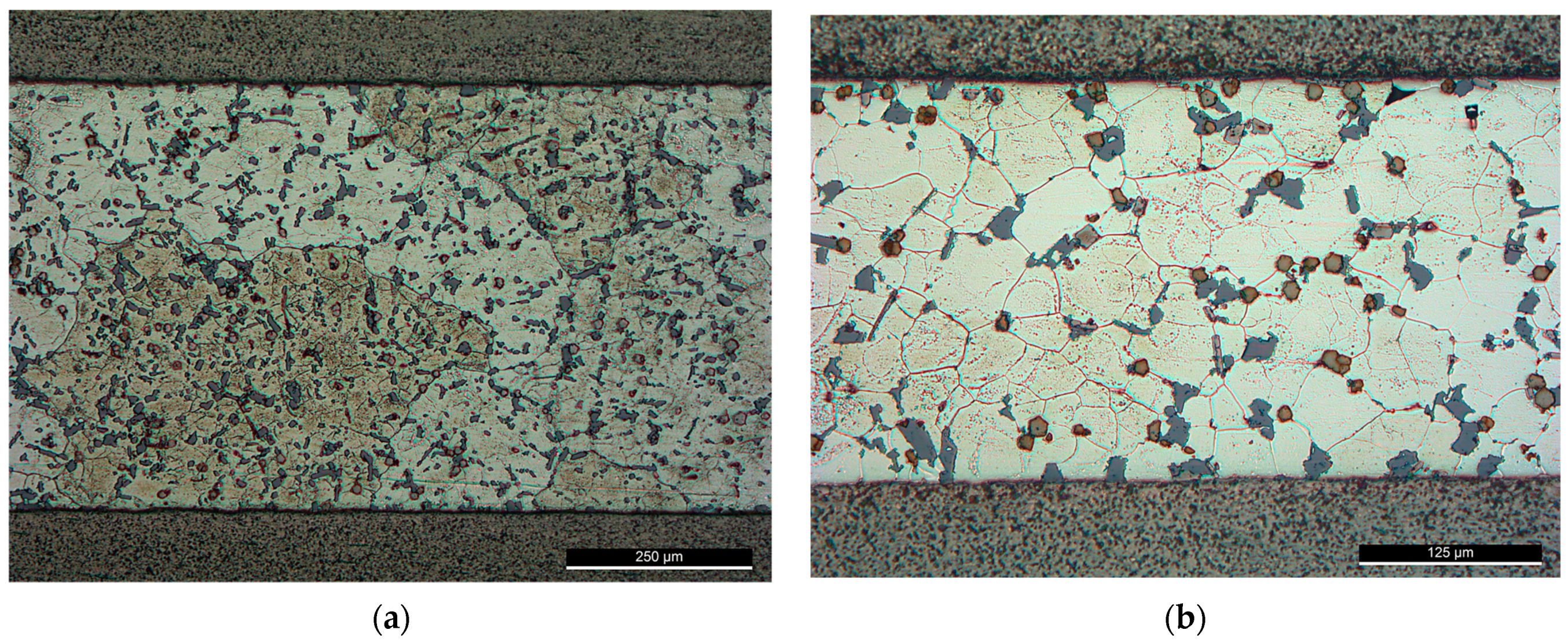 Metals 11 01968 g009