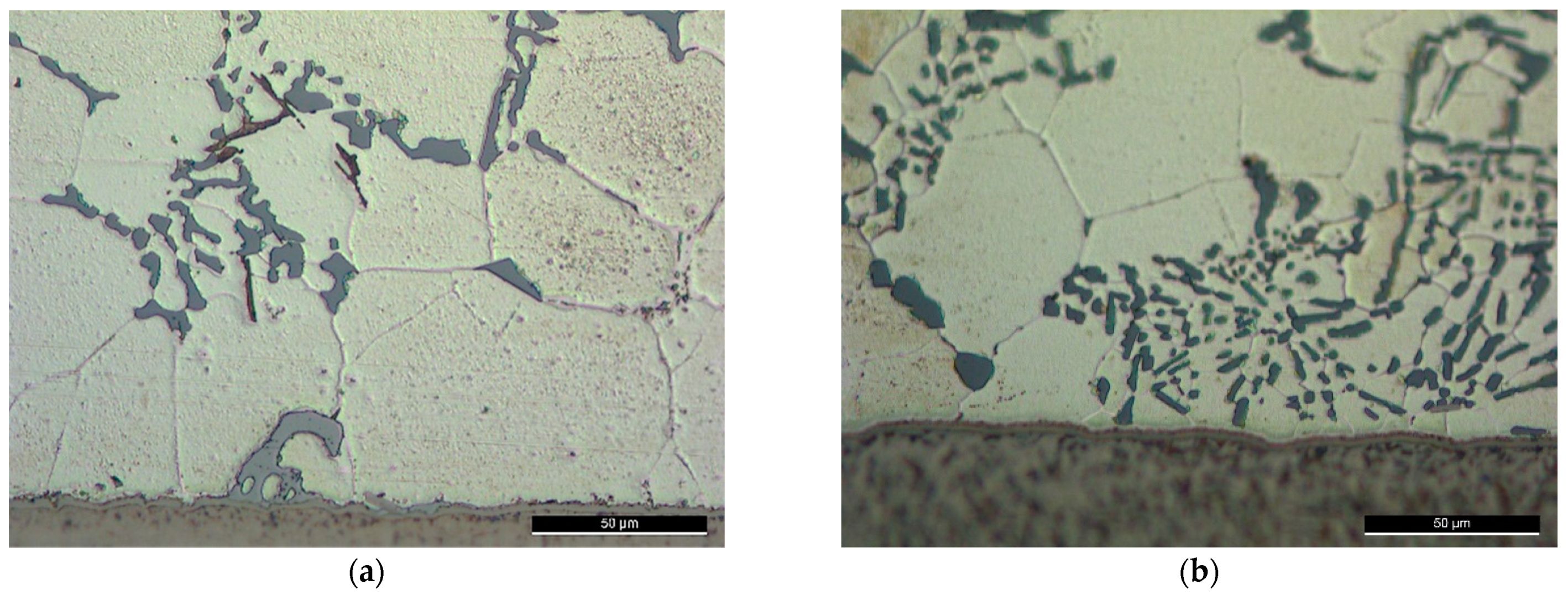 Metals 11 01968 g013