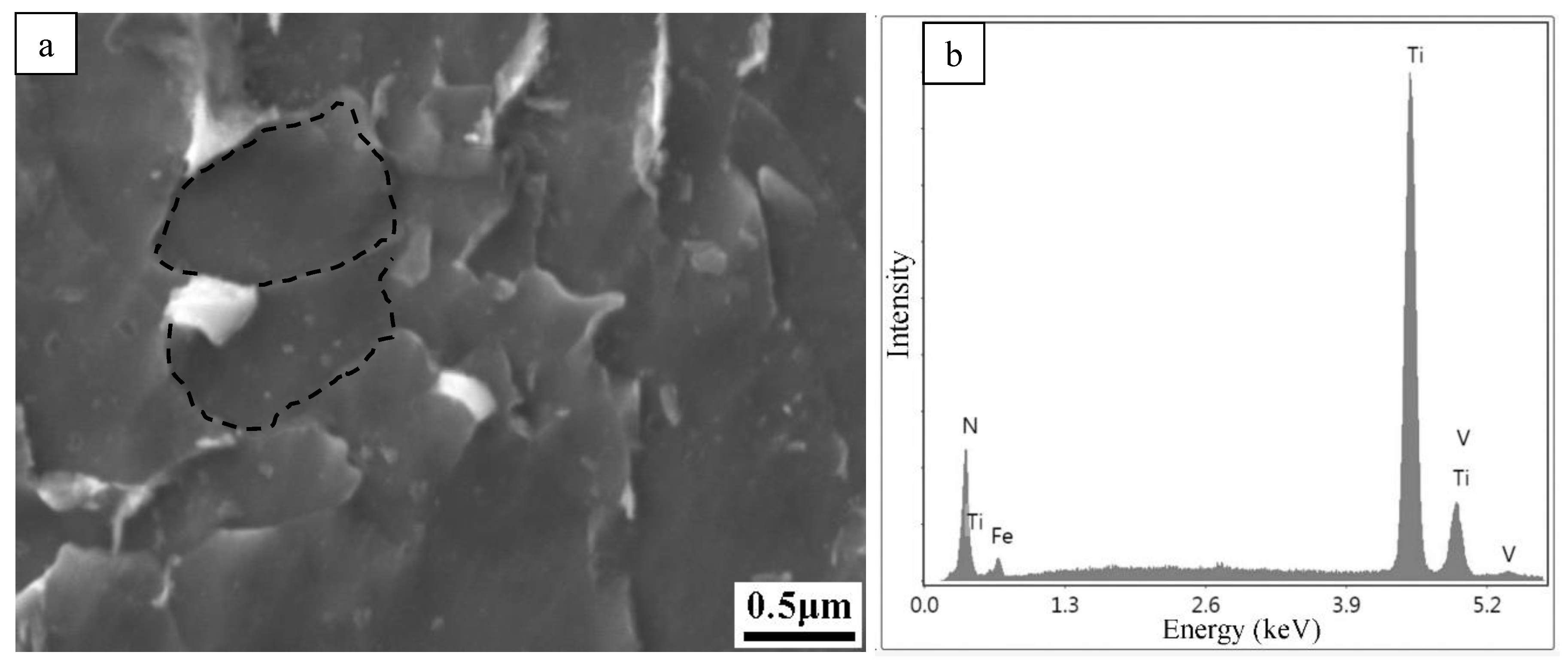 Metals 11 01997 g012