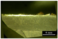 Metals 11 02019 i002