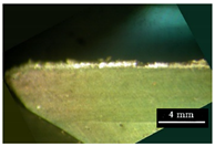 Metals 11 02019 i003