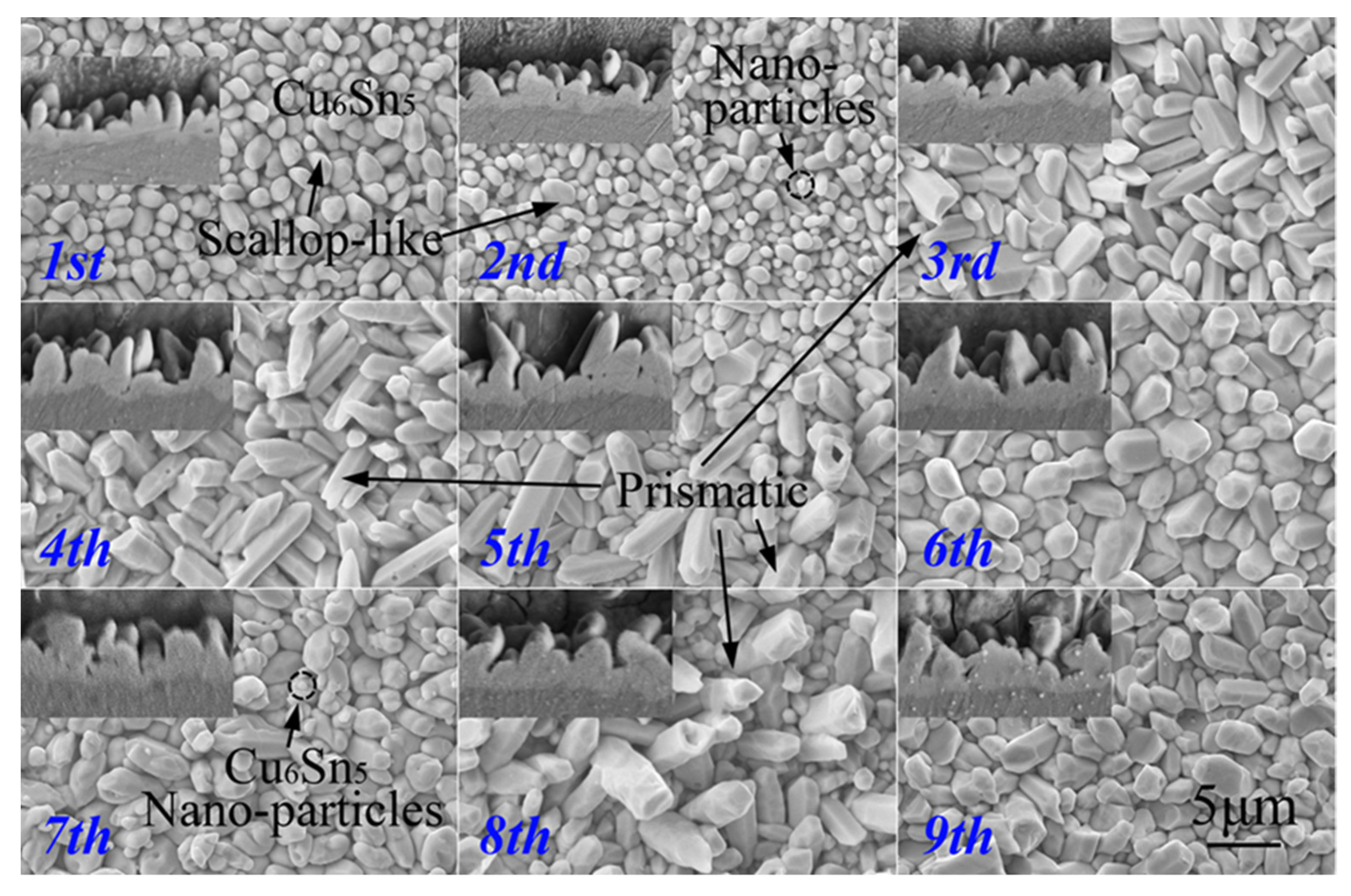 Metals 11 02041 g002