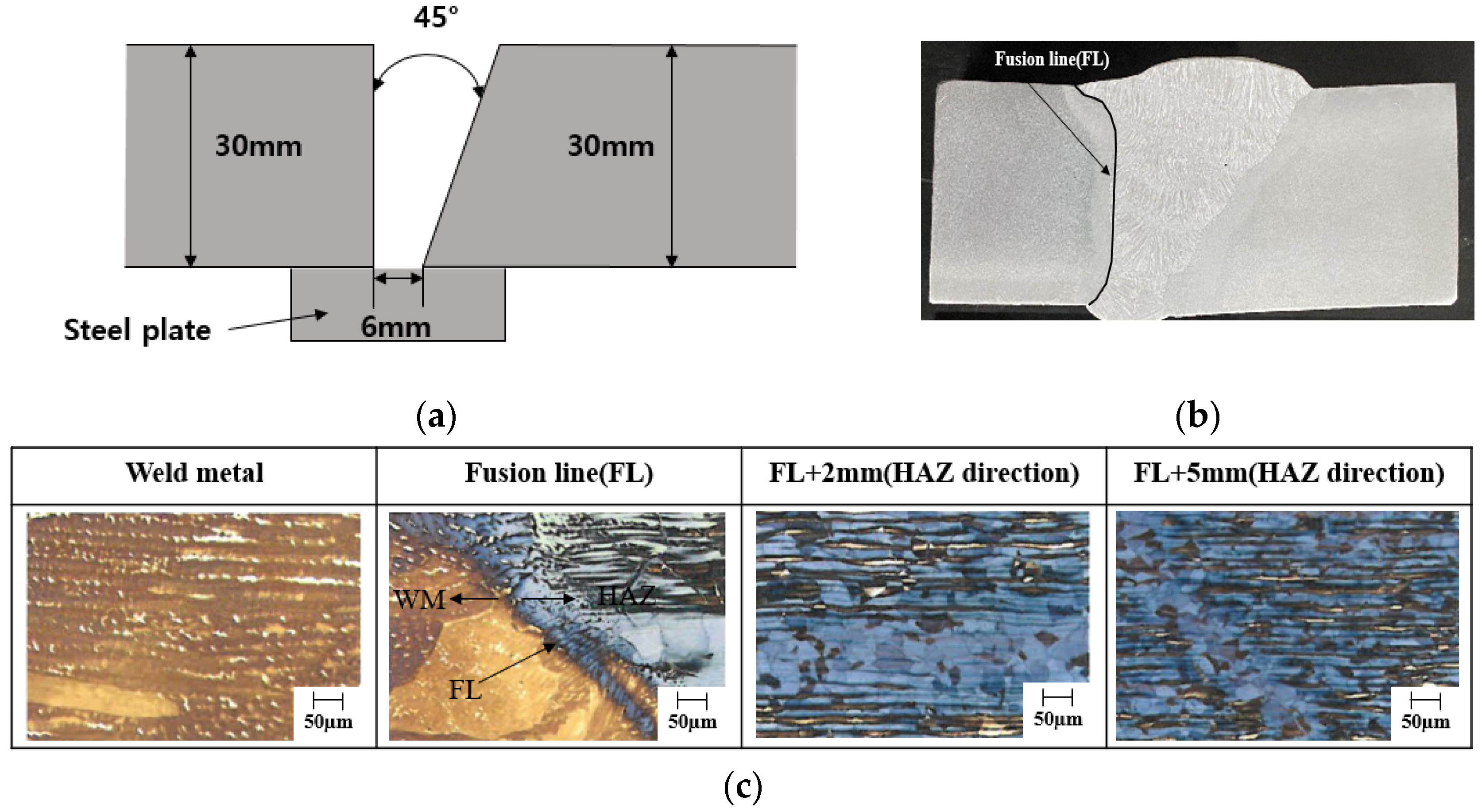 Metals 11 02047 g001