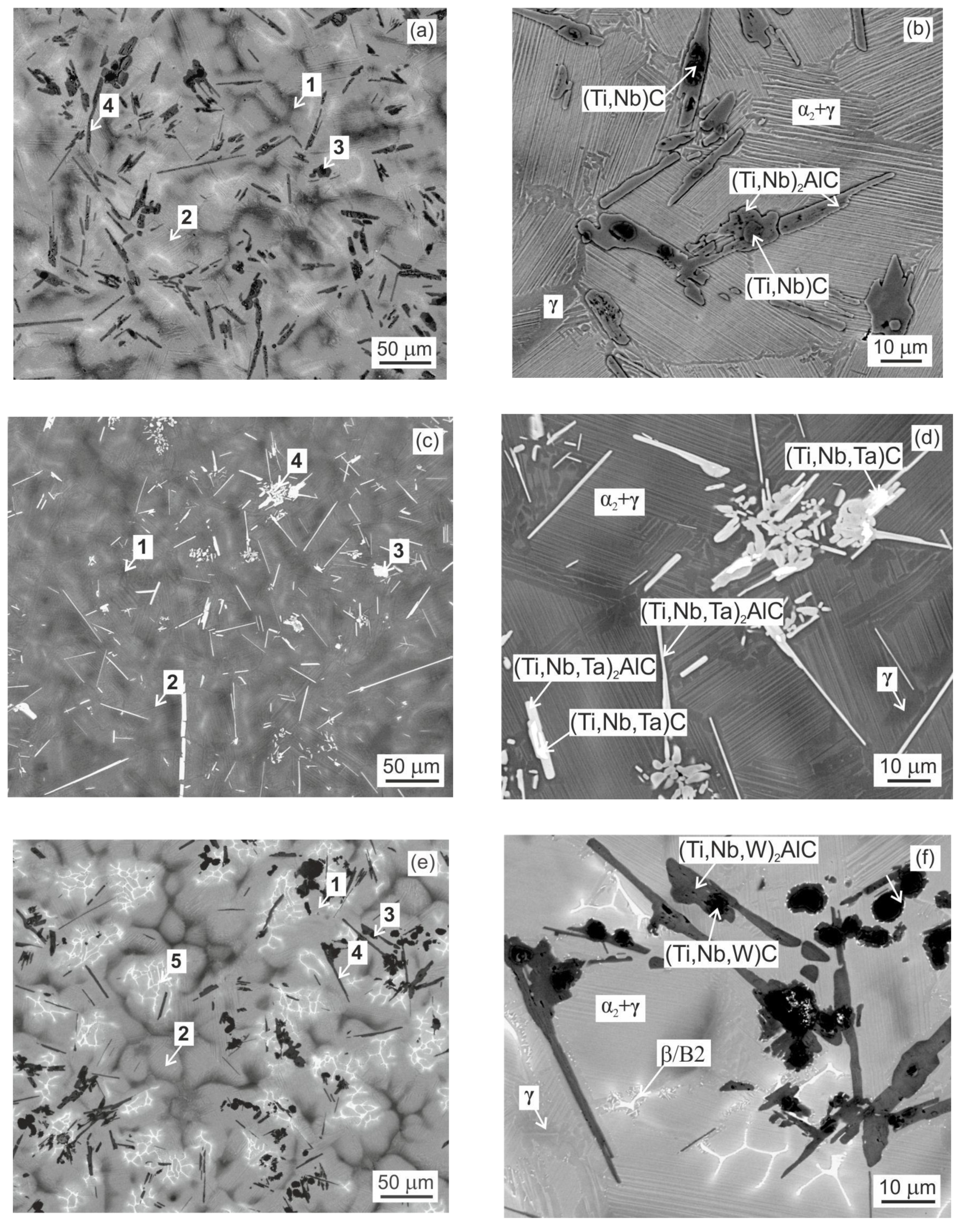 Metals 11 02052 g001