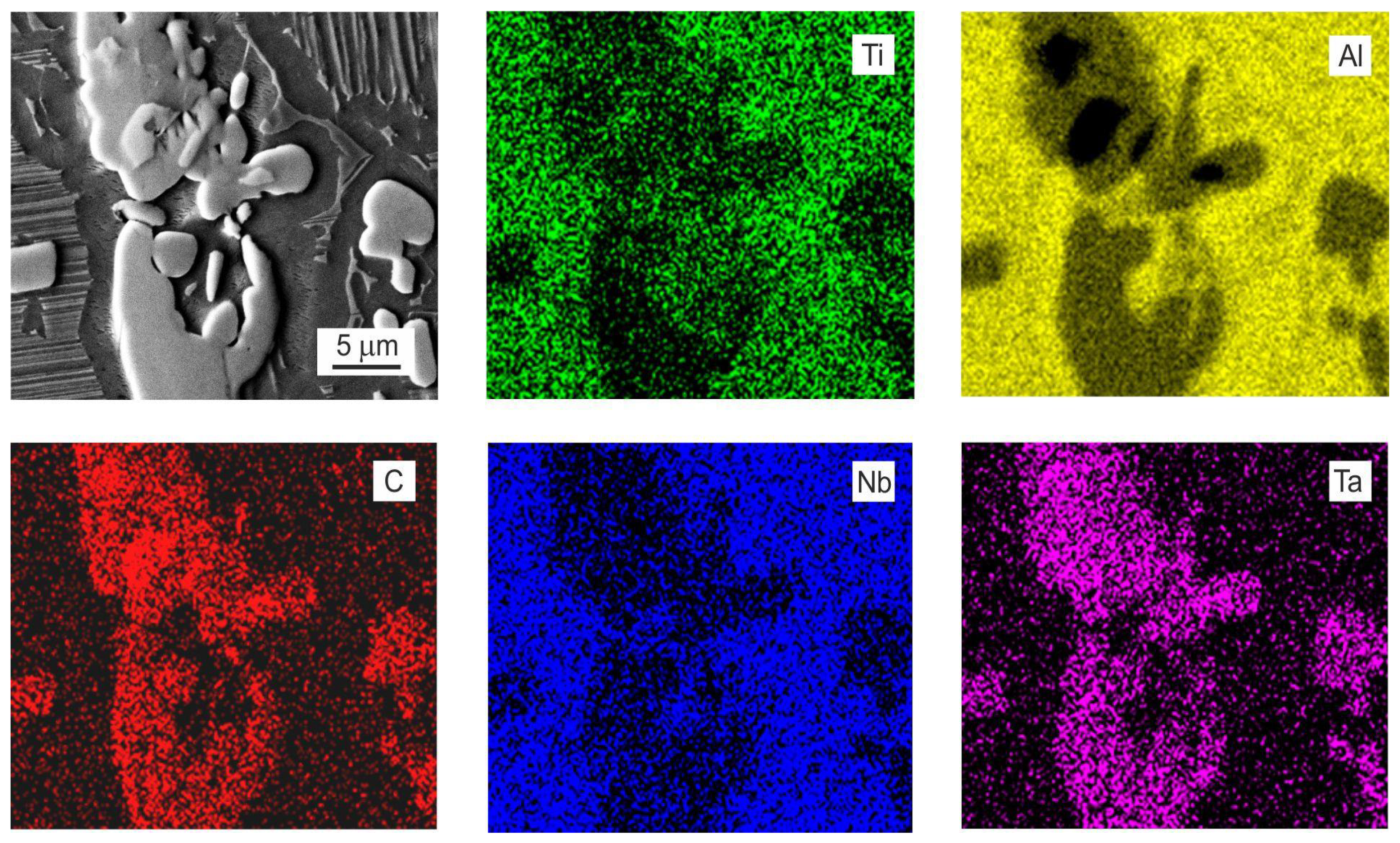Metals 11 02052 g004