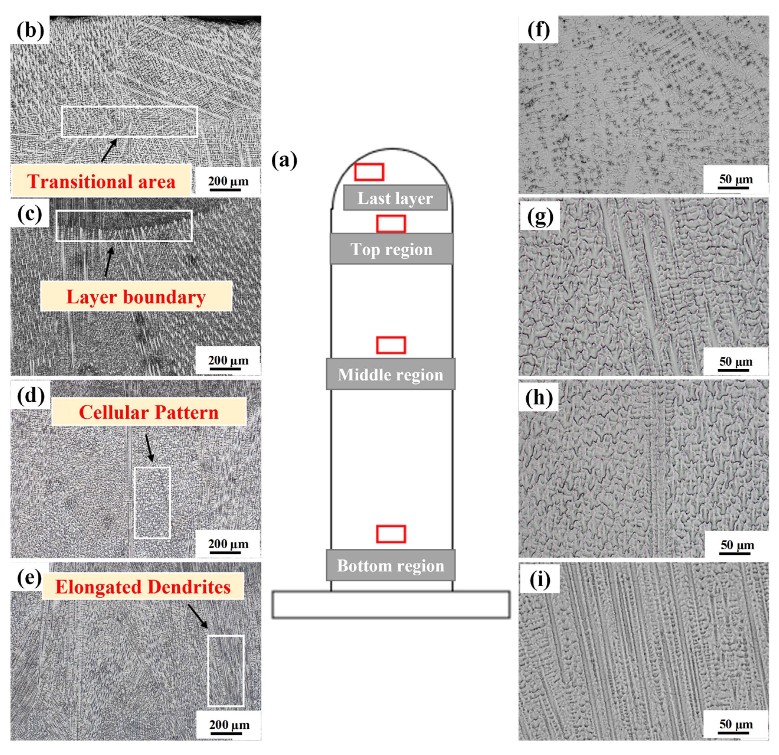 Metals 12 00046 g005