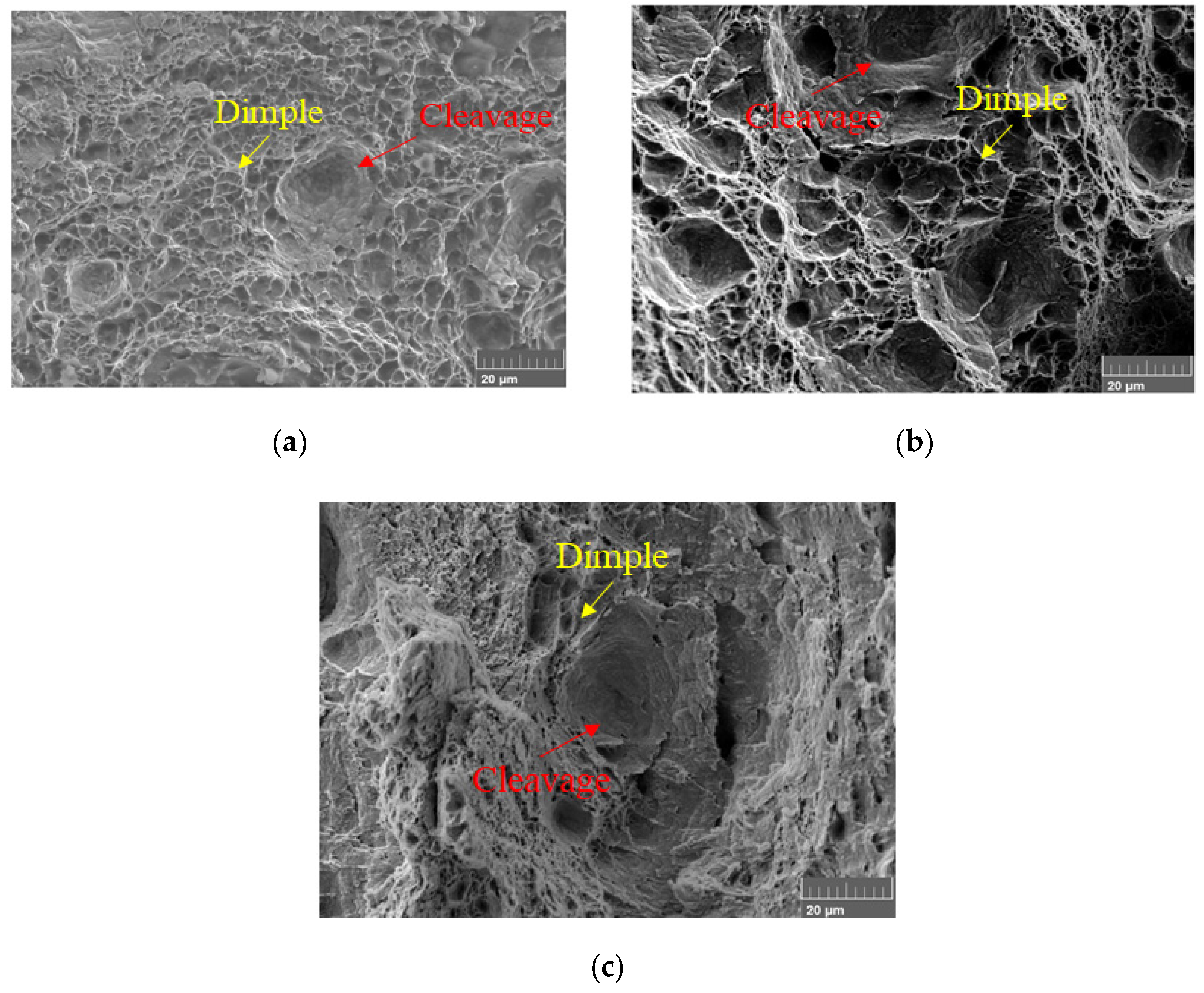 Metals 12 00173 g010