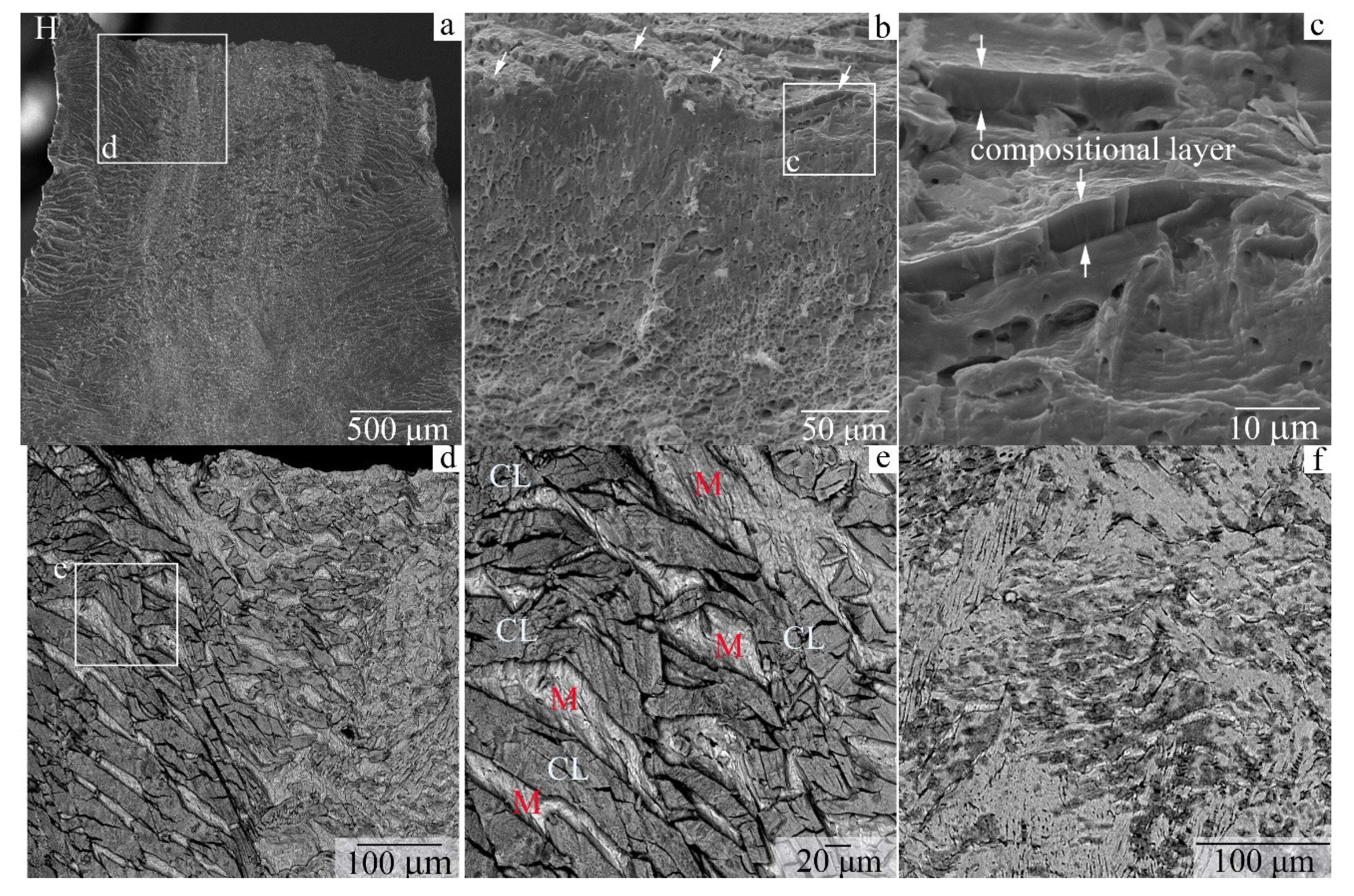 Metals | Free Full-Text | Effect of Ion-Plasma Nitriding on Phase  Composition and Tensile Properties of AISI 321-Type Stainless Steel  Produced by Wire-Feed Electron-Beam Additive Manufacturing