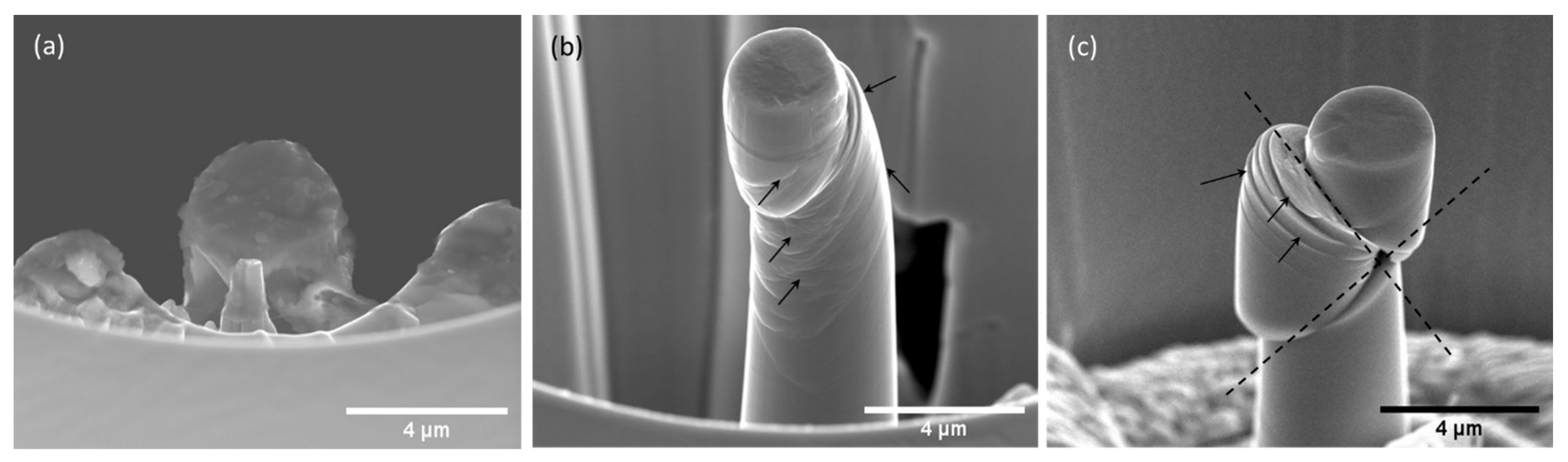 Metals 12 00188 g009