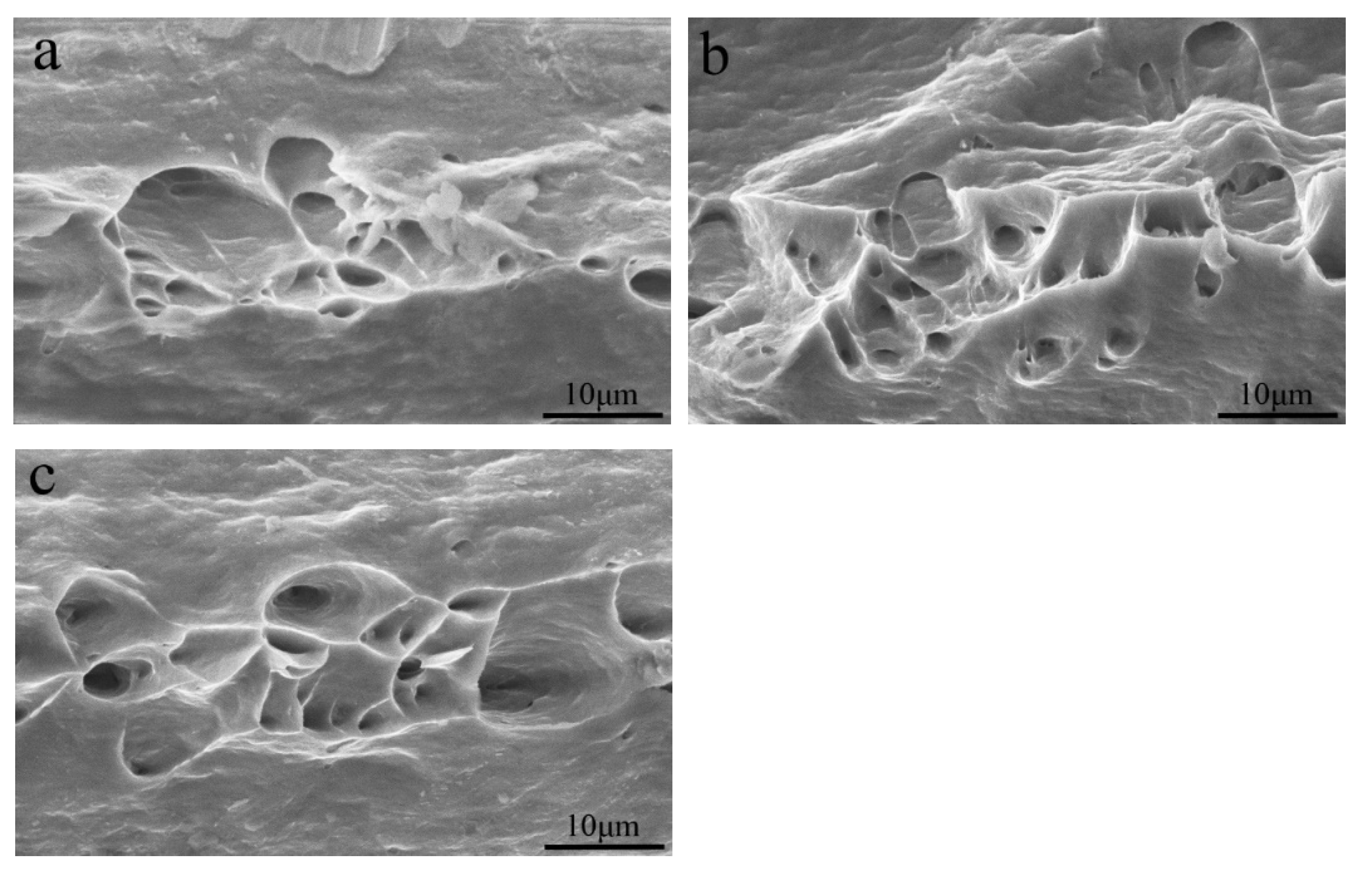Metals 12 00211 g007