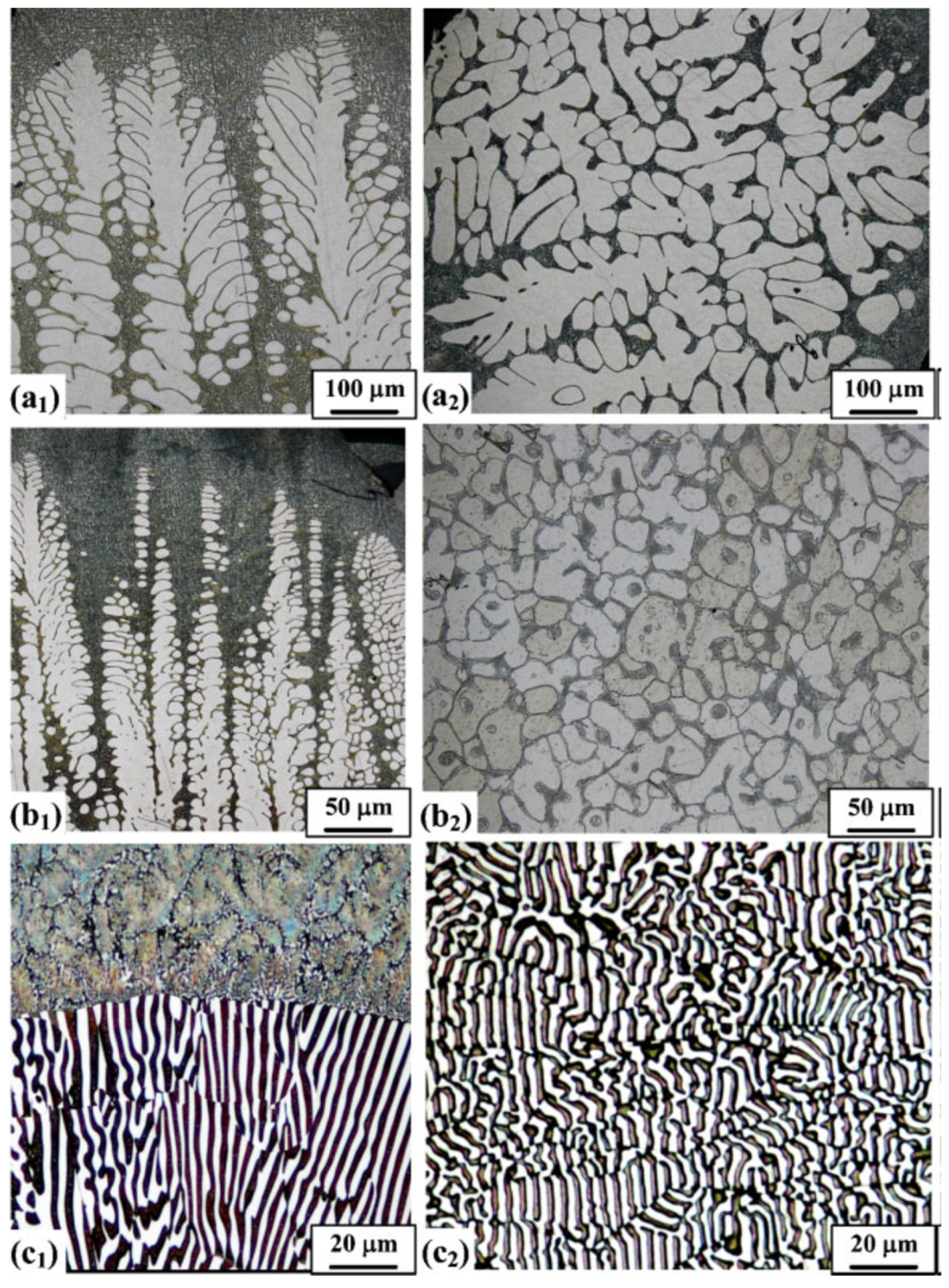 Metals 12 00216 g016