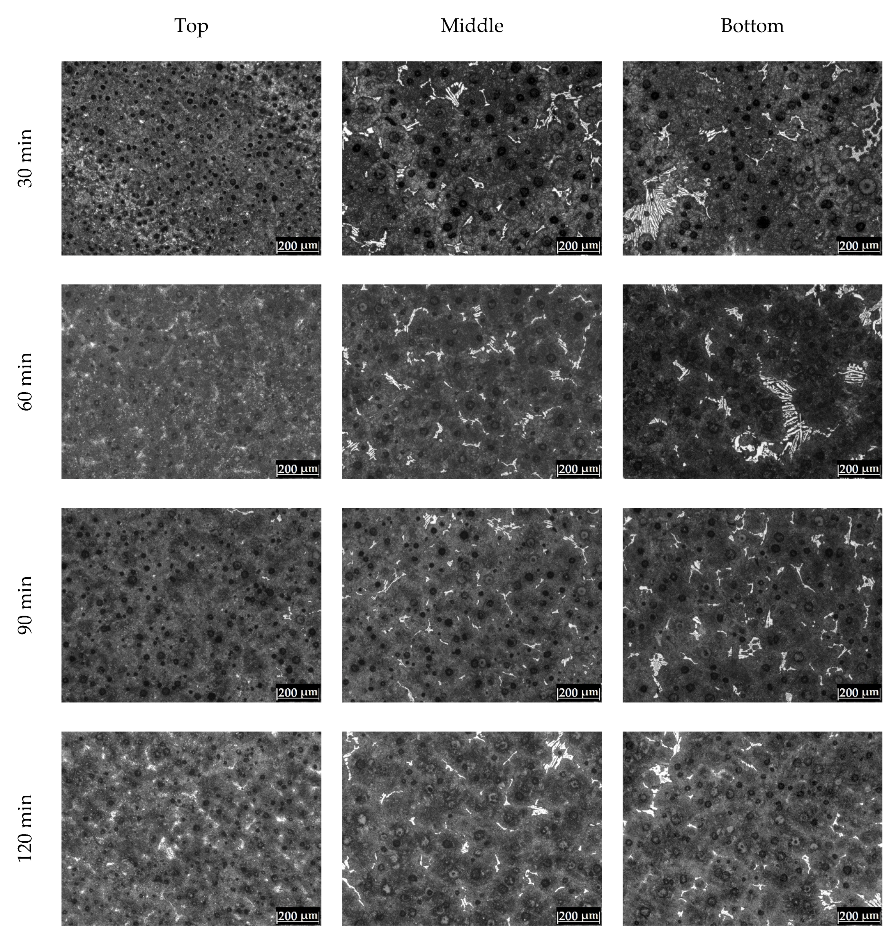 Metals 12 00249 g006