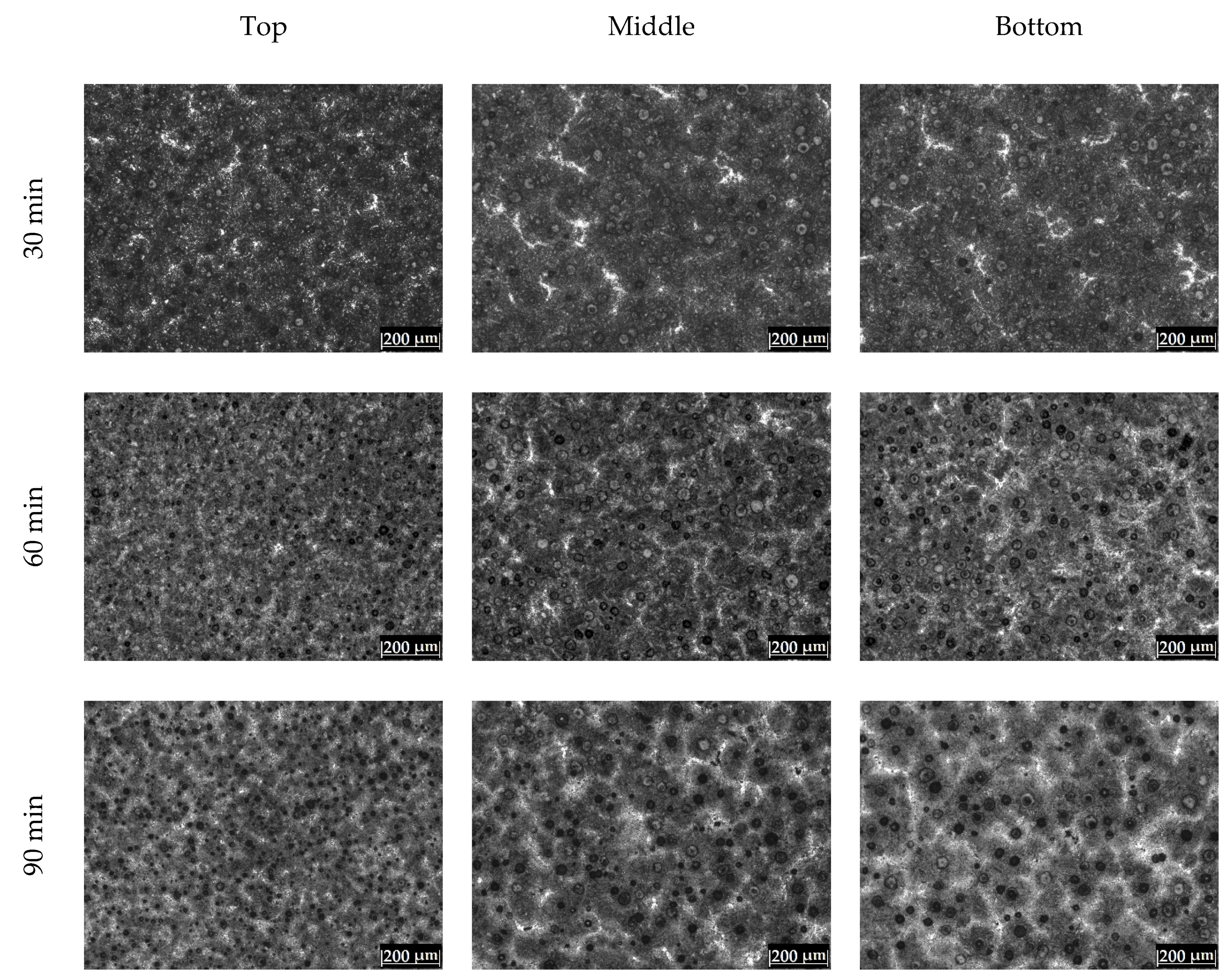 Metals 12 00249 g0a2a