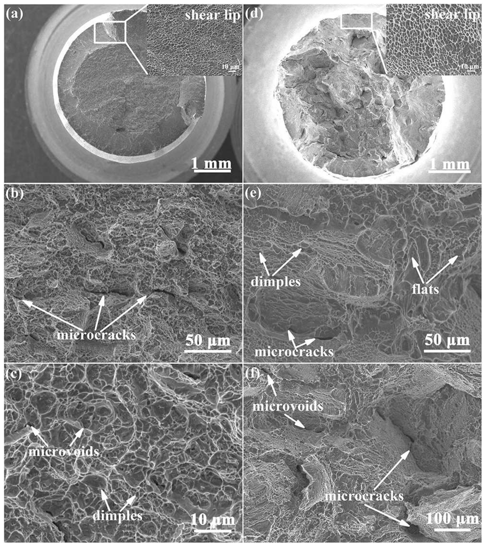 Metals 12 00271 g004
