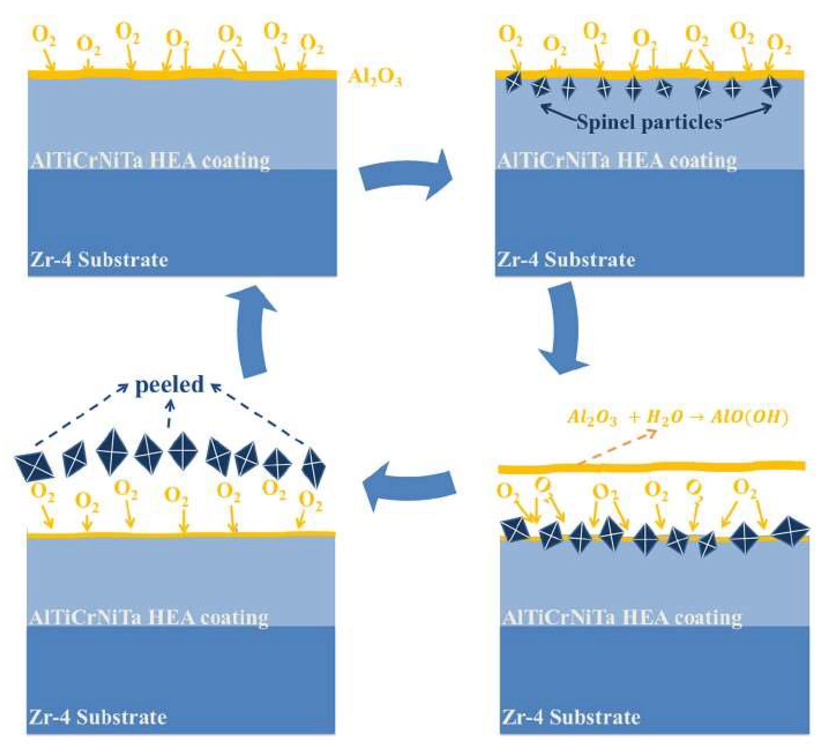 Metals 12 00319 g008