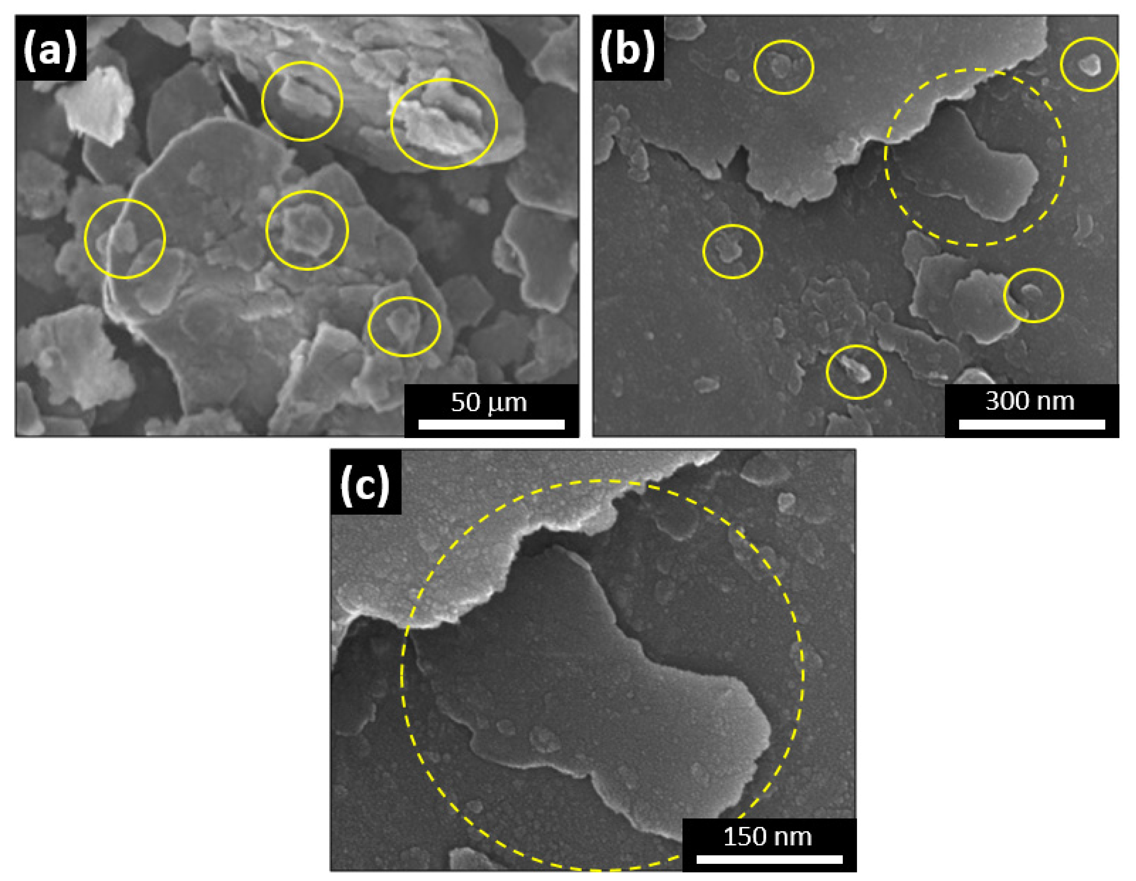 Metals 12 00323 g001