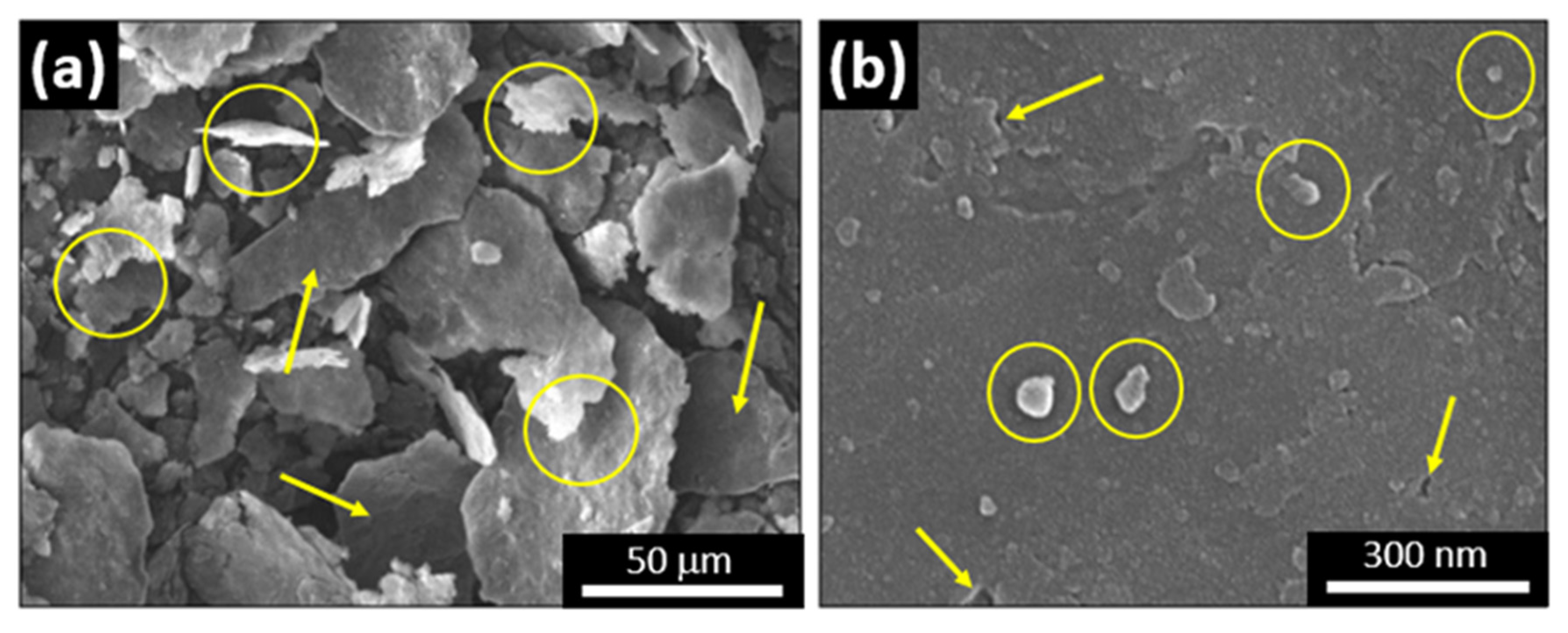 Metals 12 00323 g002