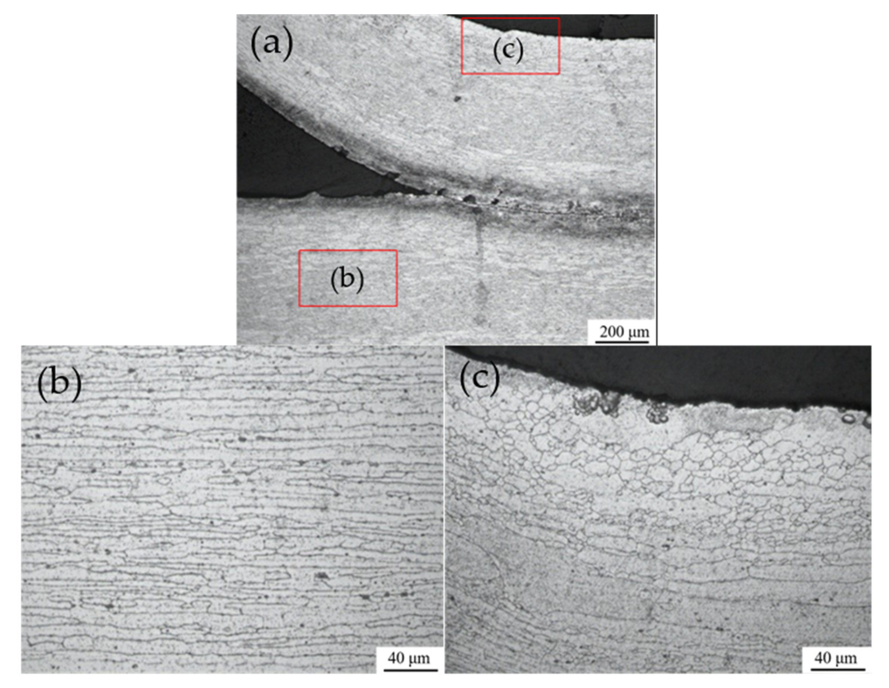 Metals 12 00389 g008