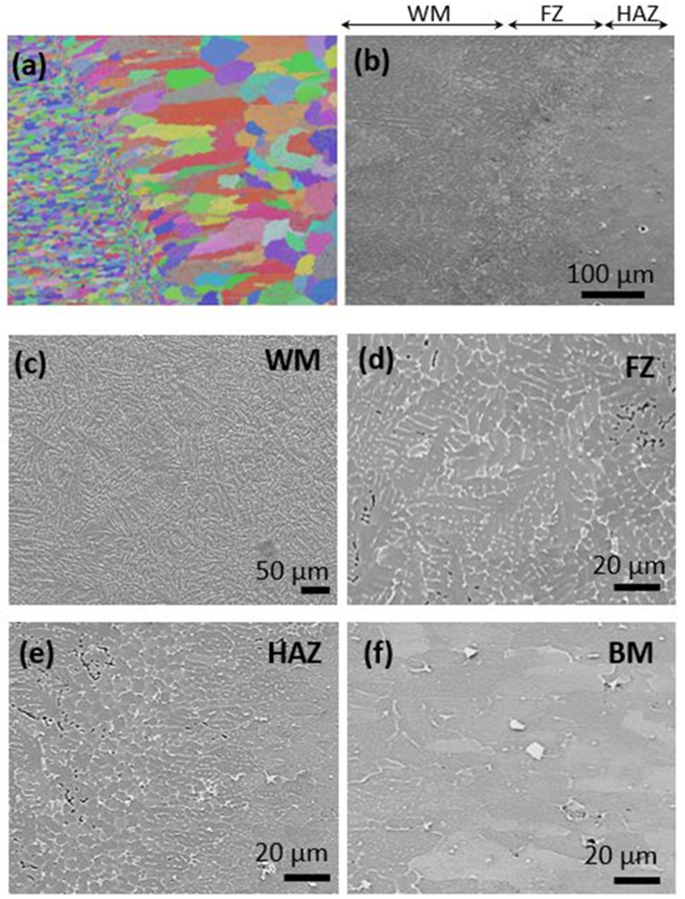 Metals 12 00393 g016