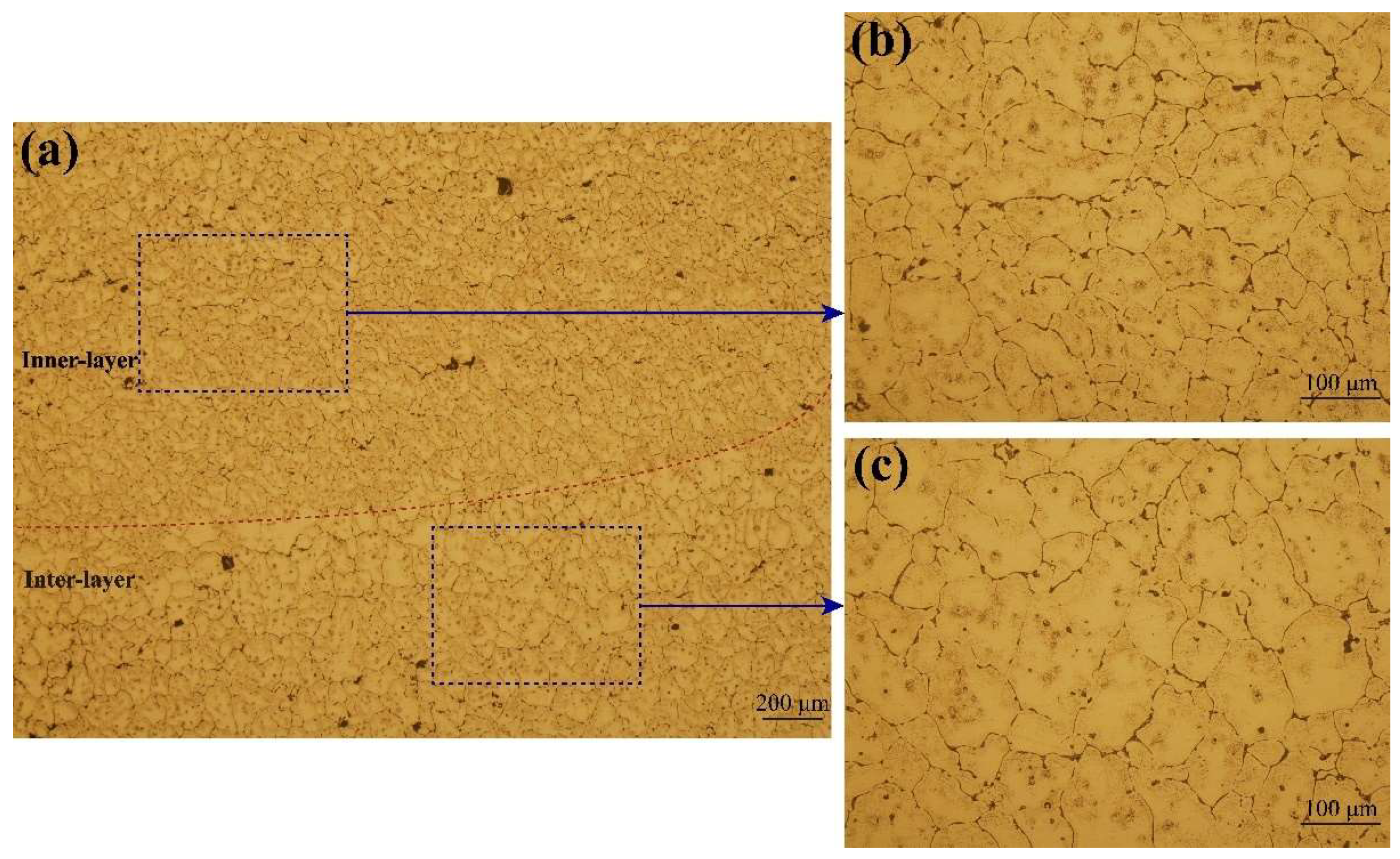 Metals 12 00416 g005