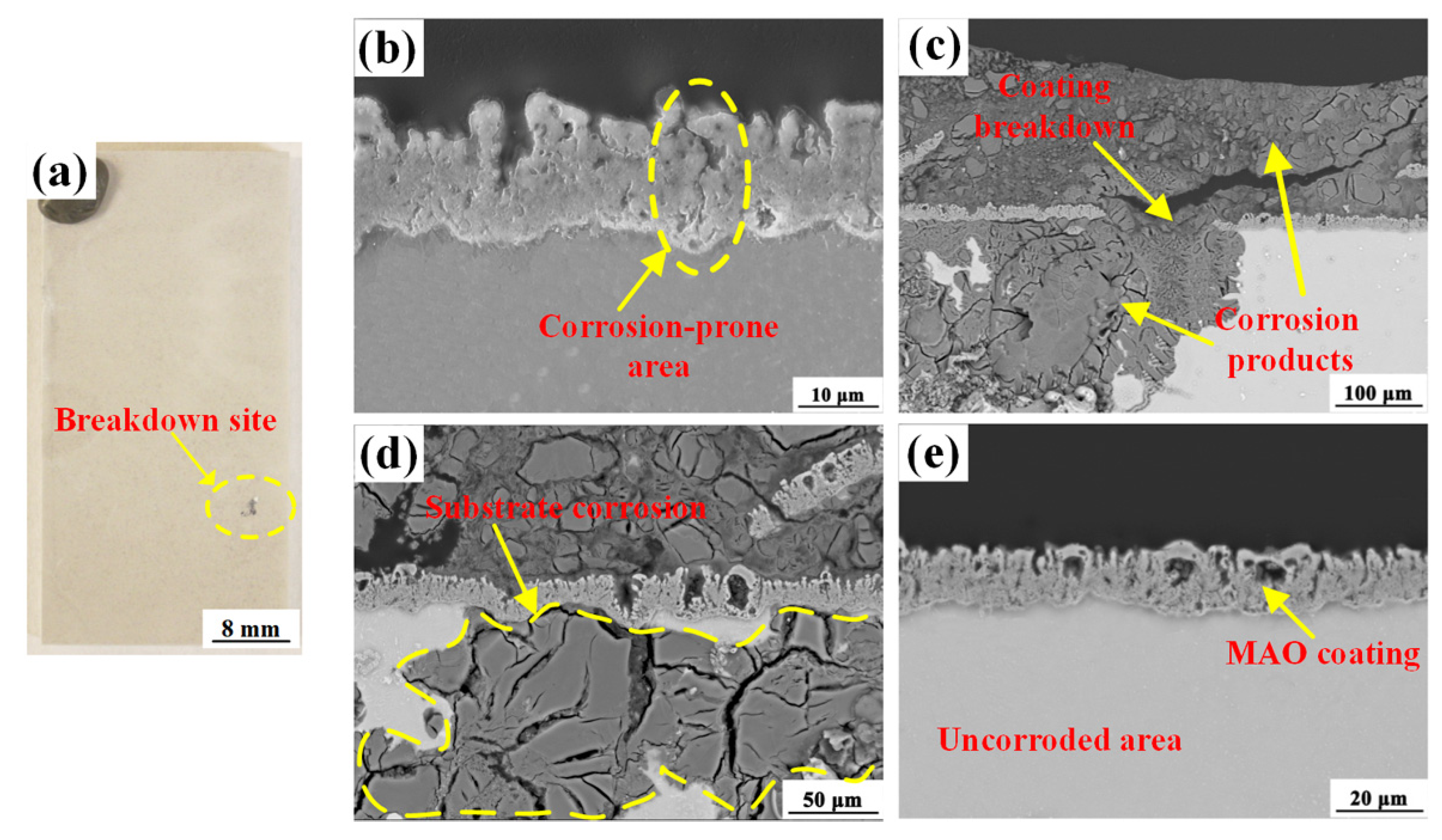 Metals 12 00449 g012