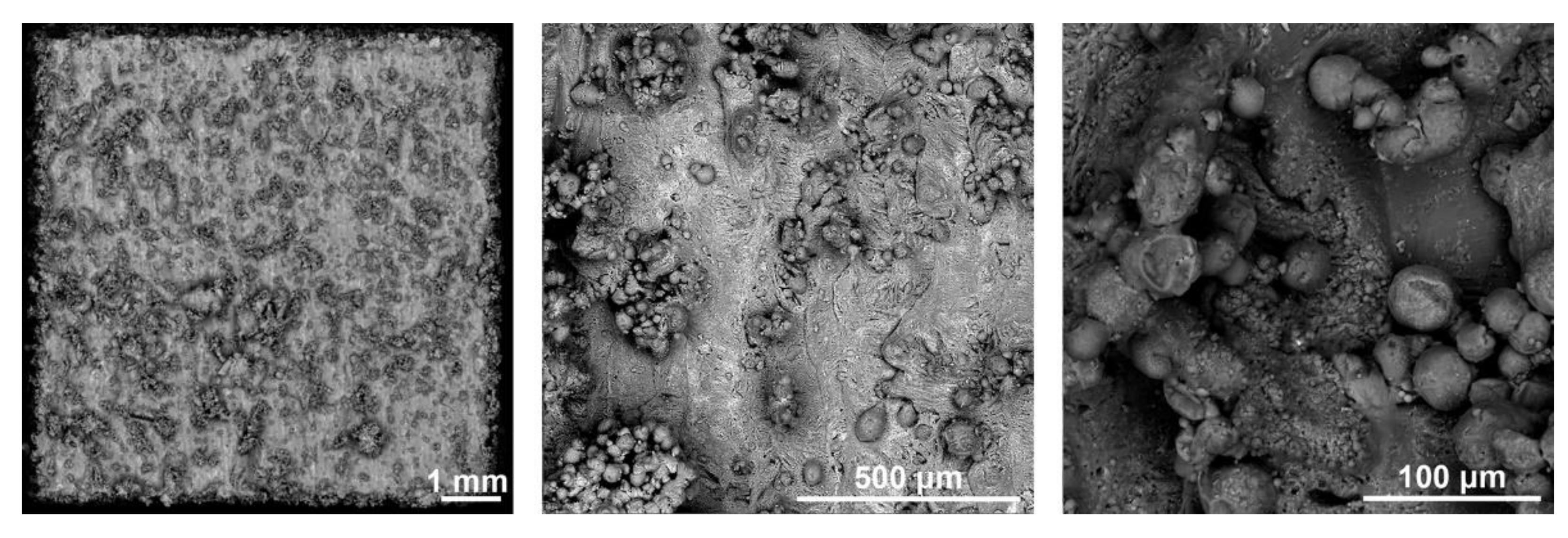 Metals 12 00469 g003