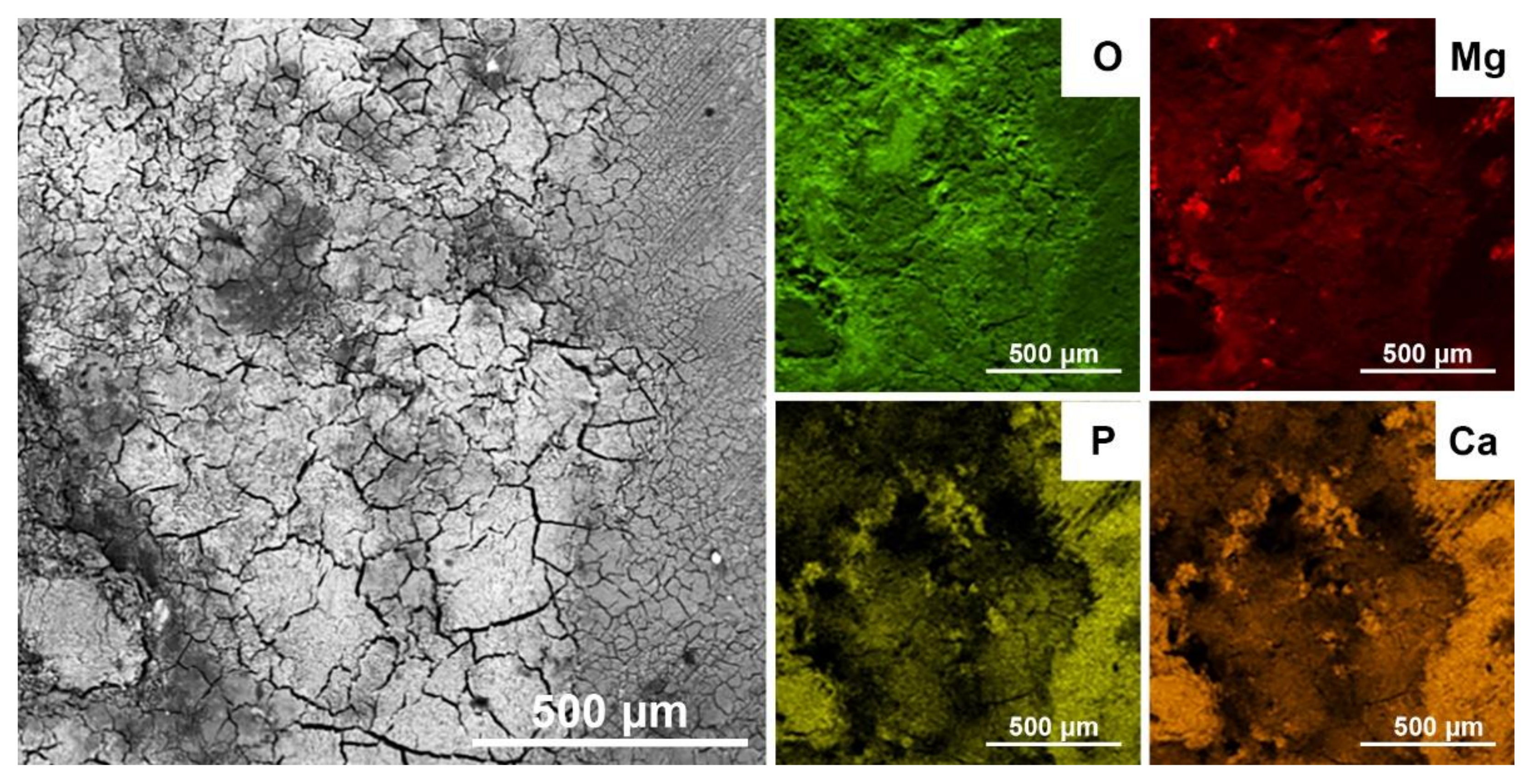 Metals 12 00469 g011