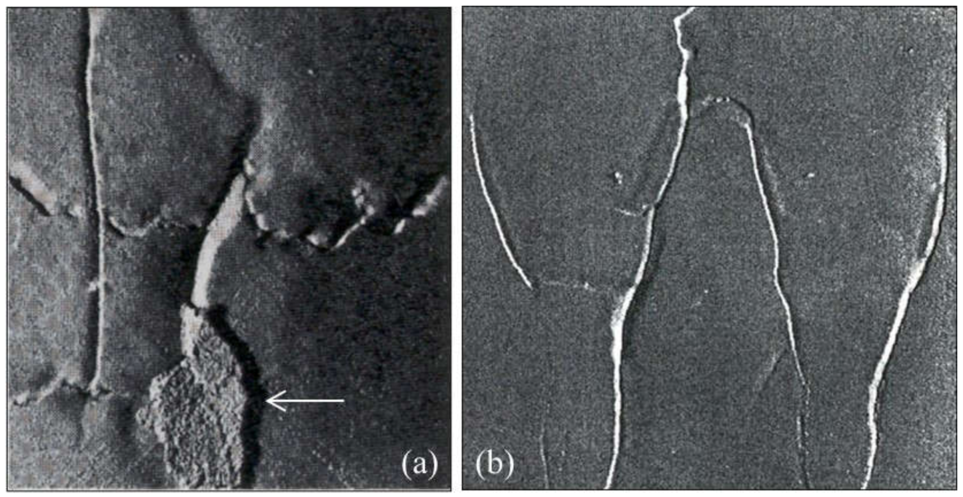 Metals 12 00504 g027