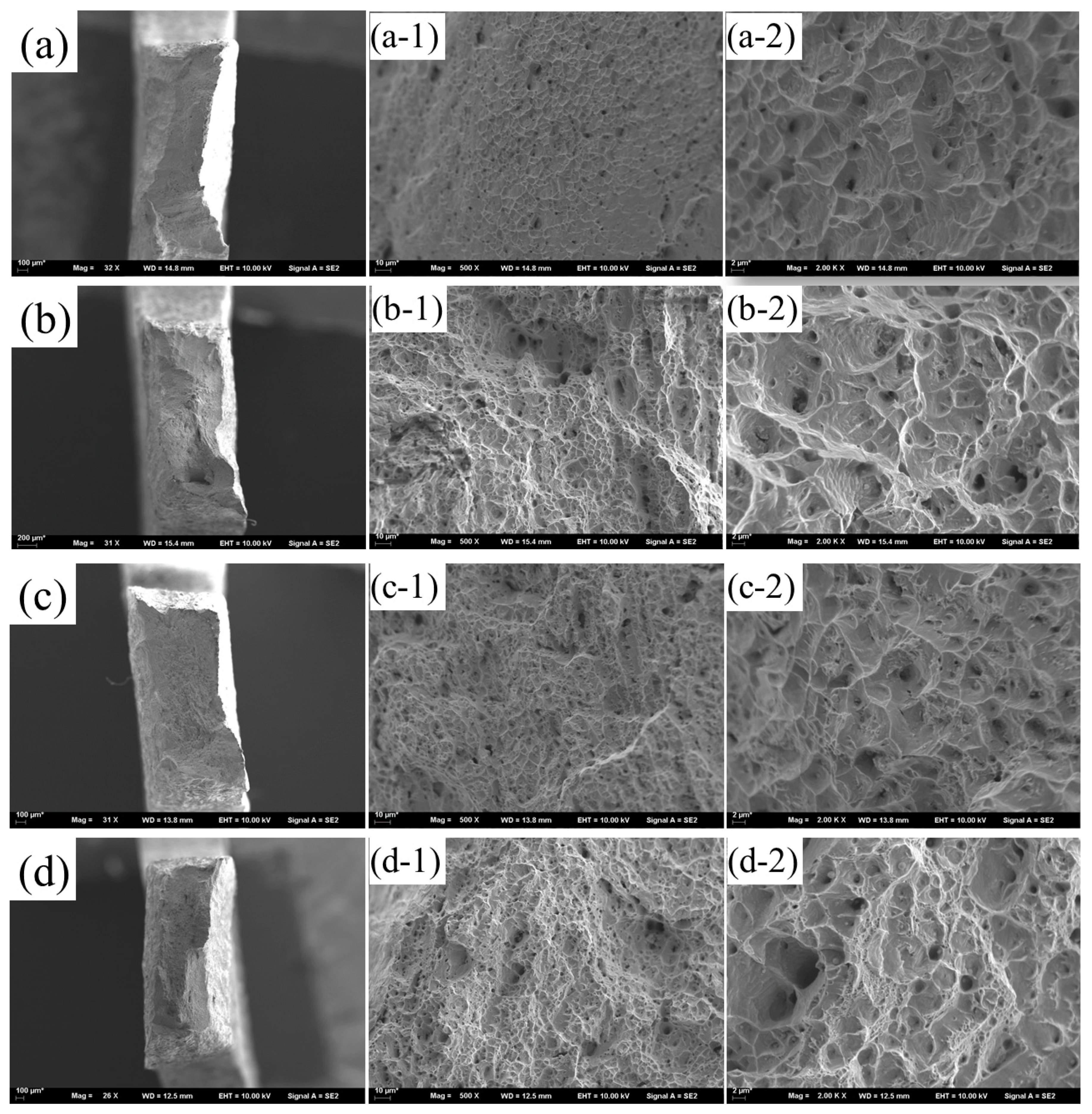Metals 12 00510 g010
