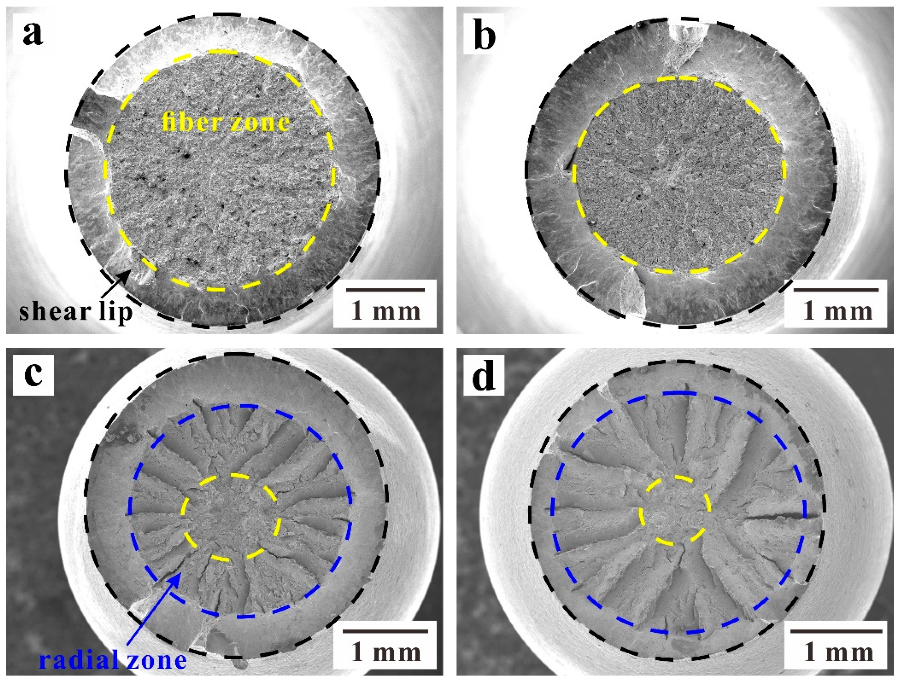Metals 12 00688 g004