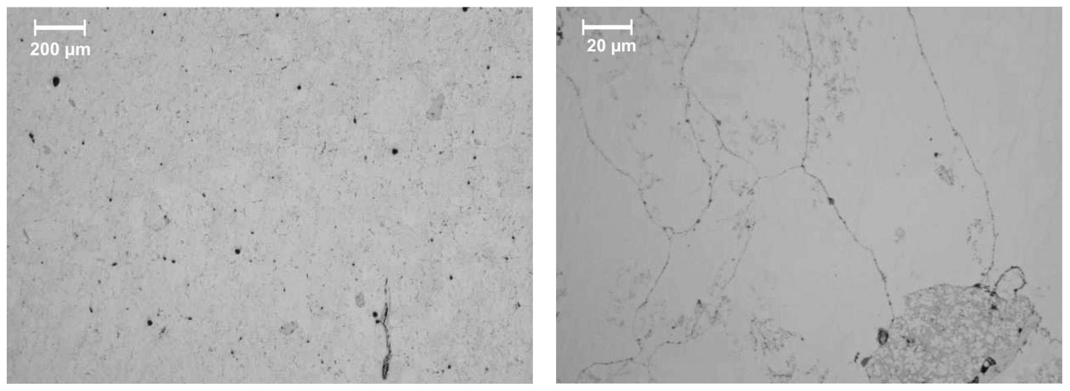 Metals 12 00748 g008