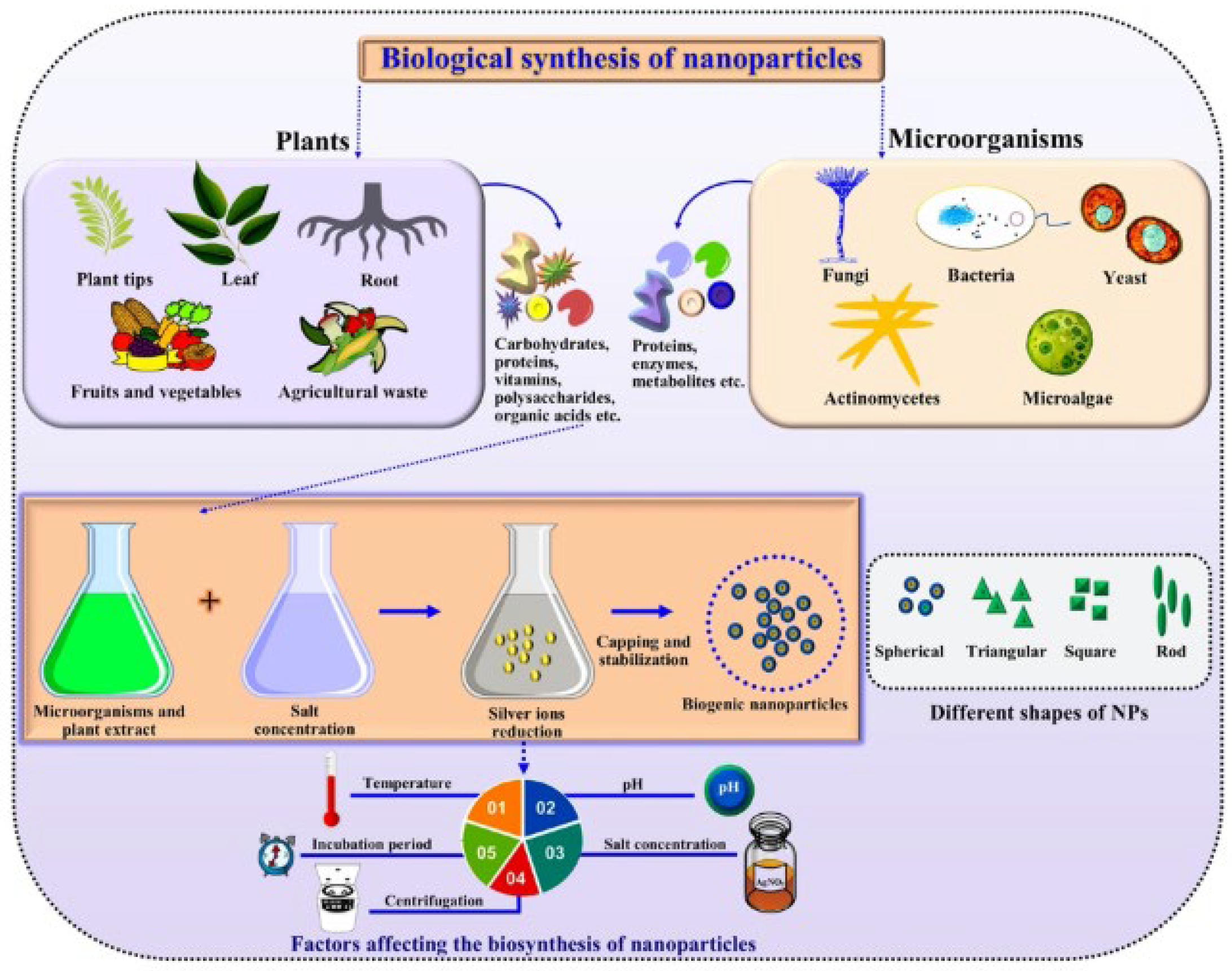 Metals Free Full Text Green Synthesis of Silver Oxide