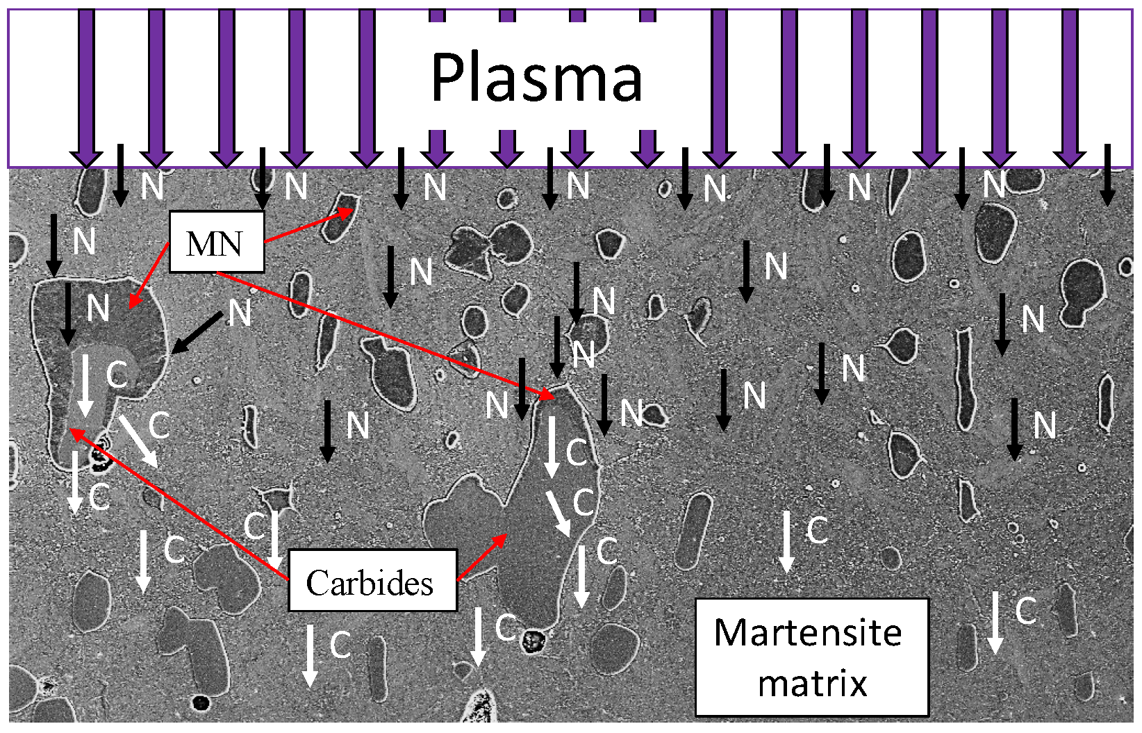 Metals | Free Full-Text | Evolution of Microstructure and Hardness 