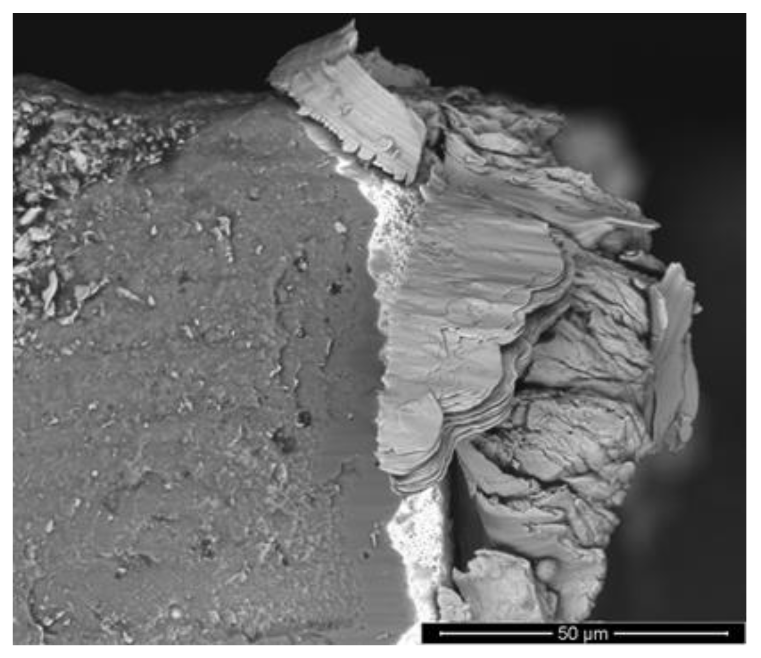 Metals 12 00896 g014