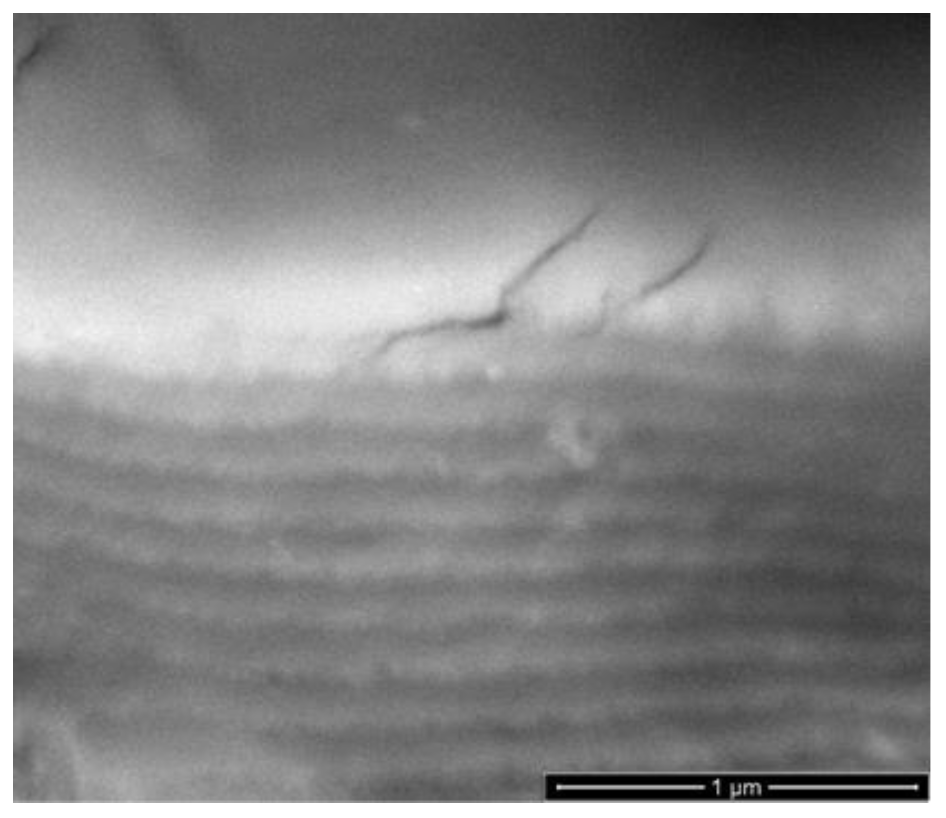 Metals 12 00896 g016